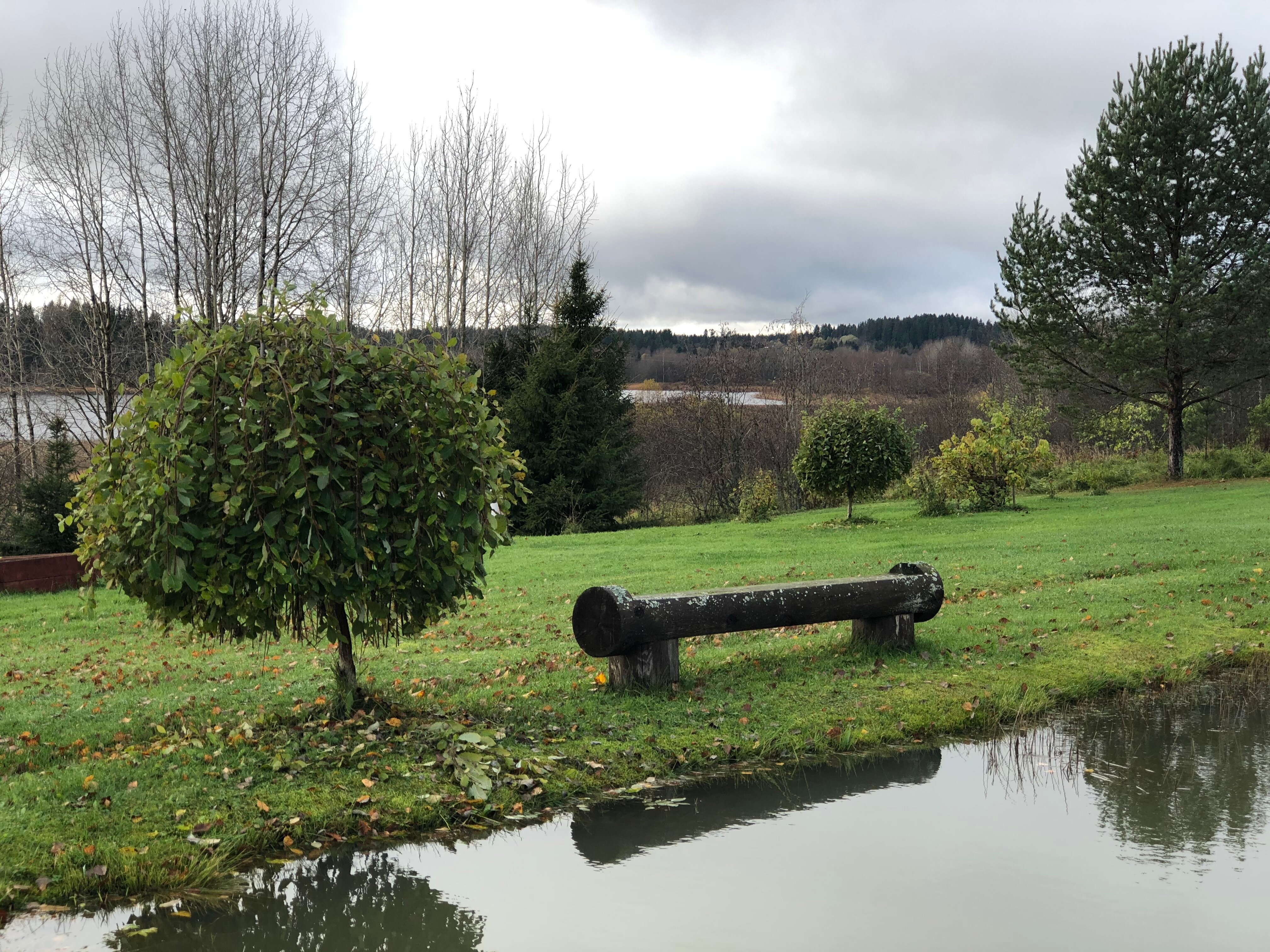 Фото Ярви Хаус