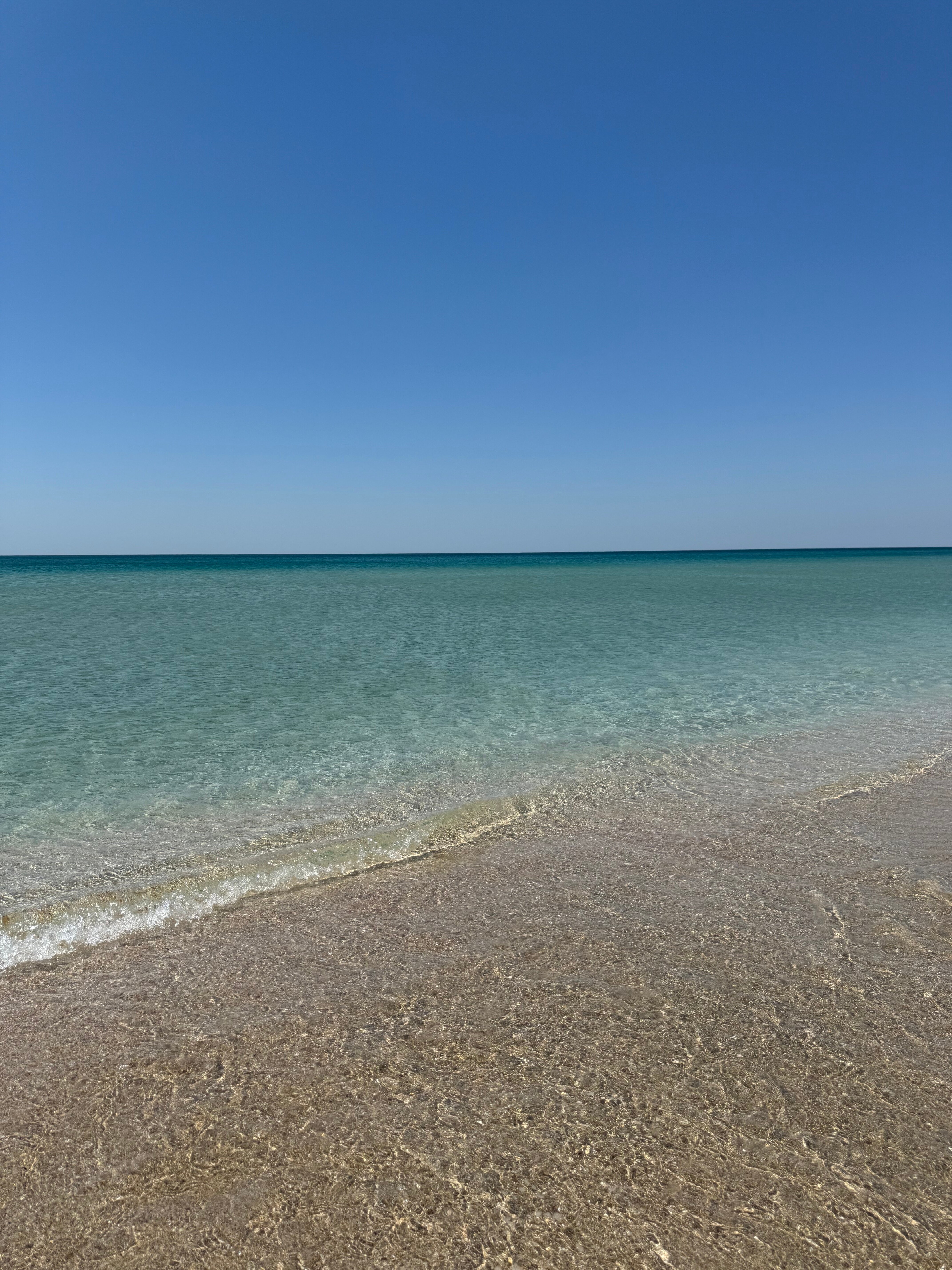 Фото Беляус