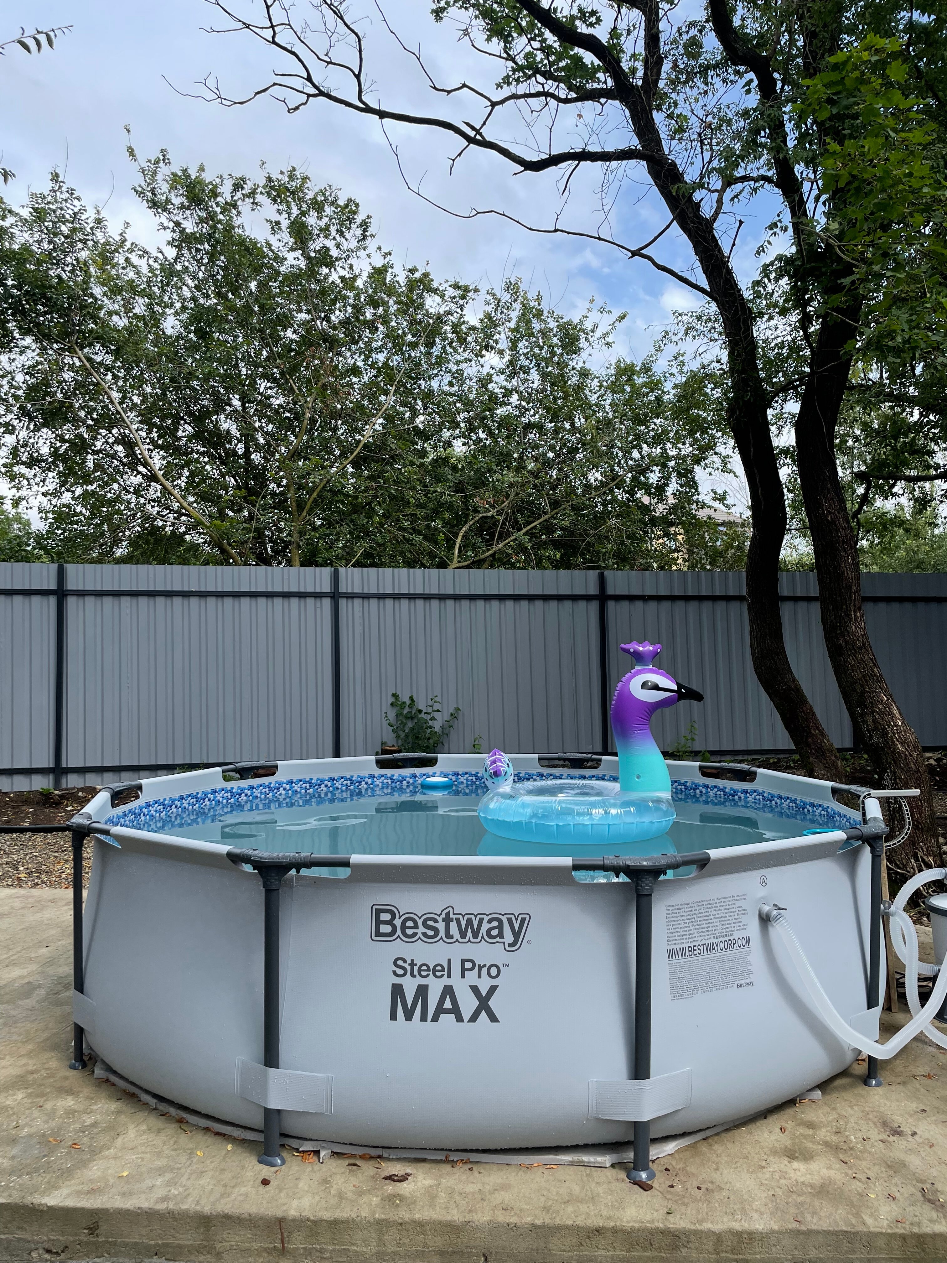 Фото Можжевеловое место