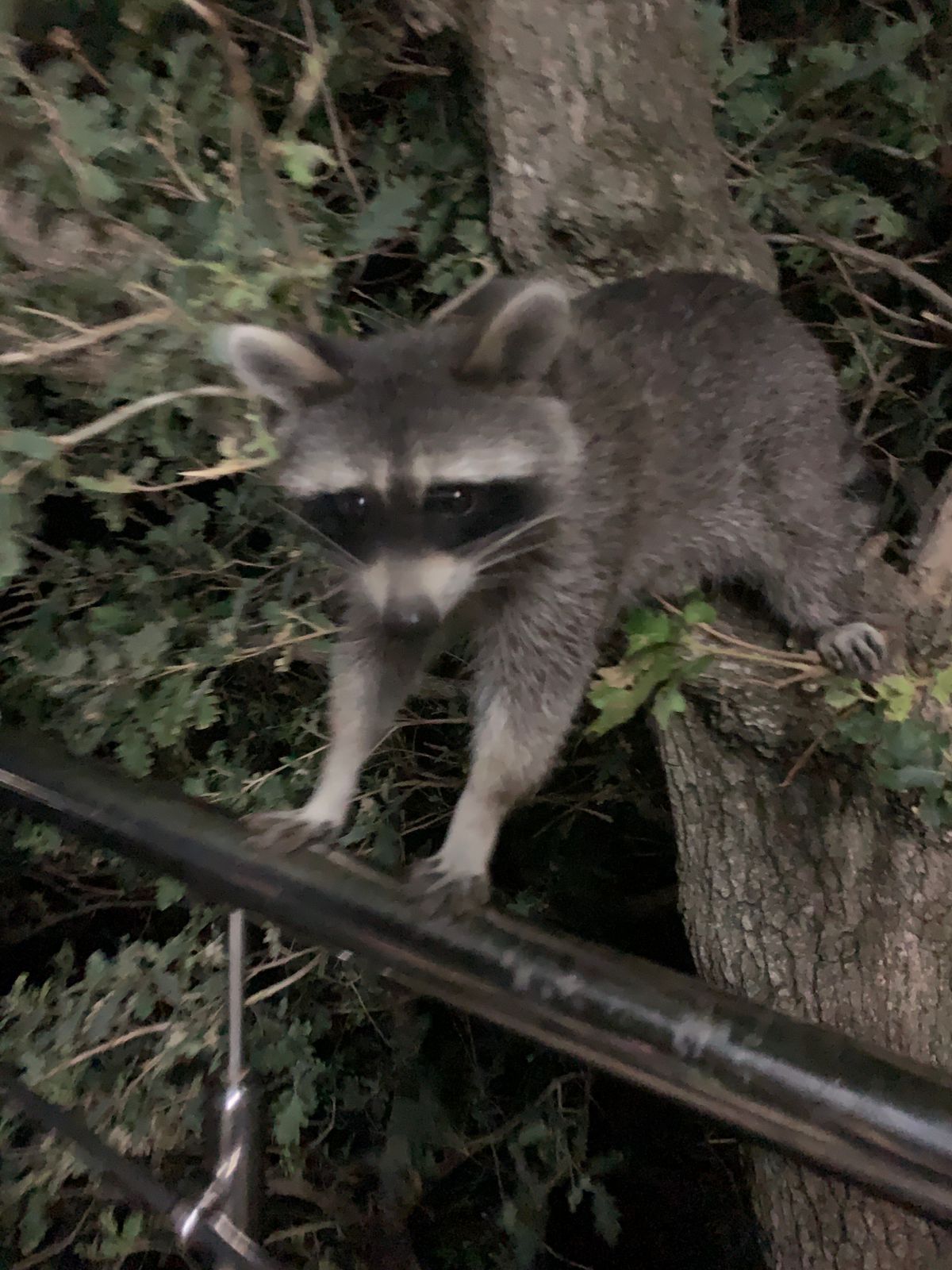 Фото Просто Рай