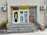 Антиквариатъ (Tsvillinga Street, 35), antique store
