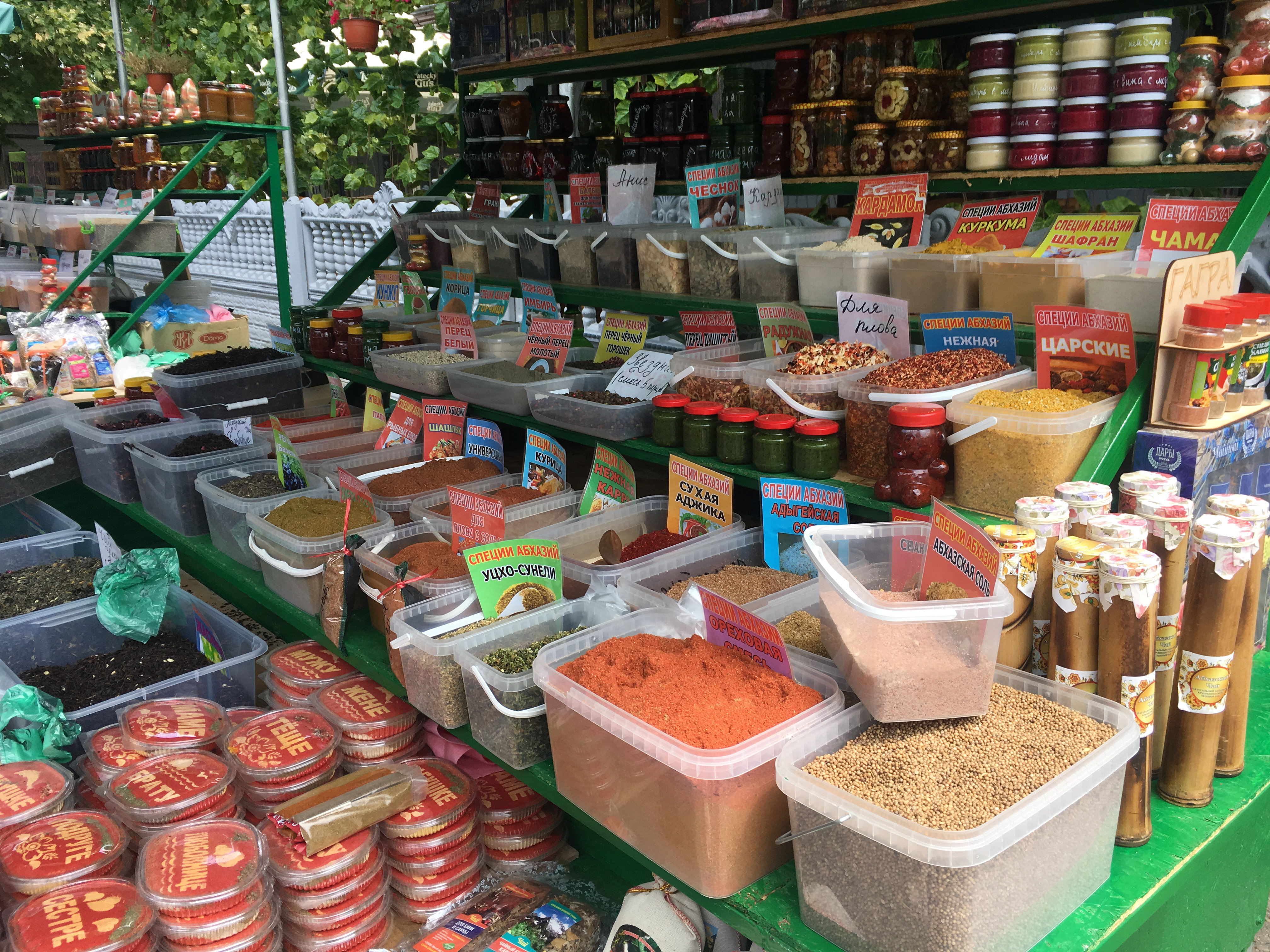 Фото Светлана