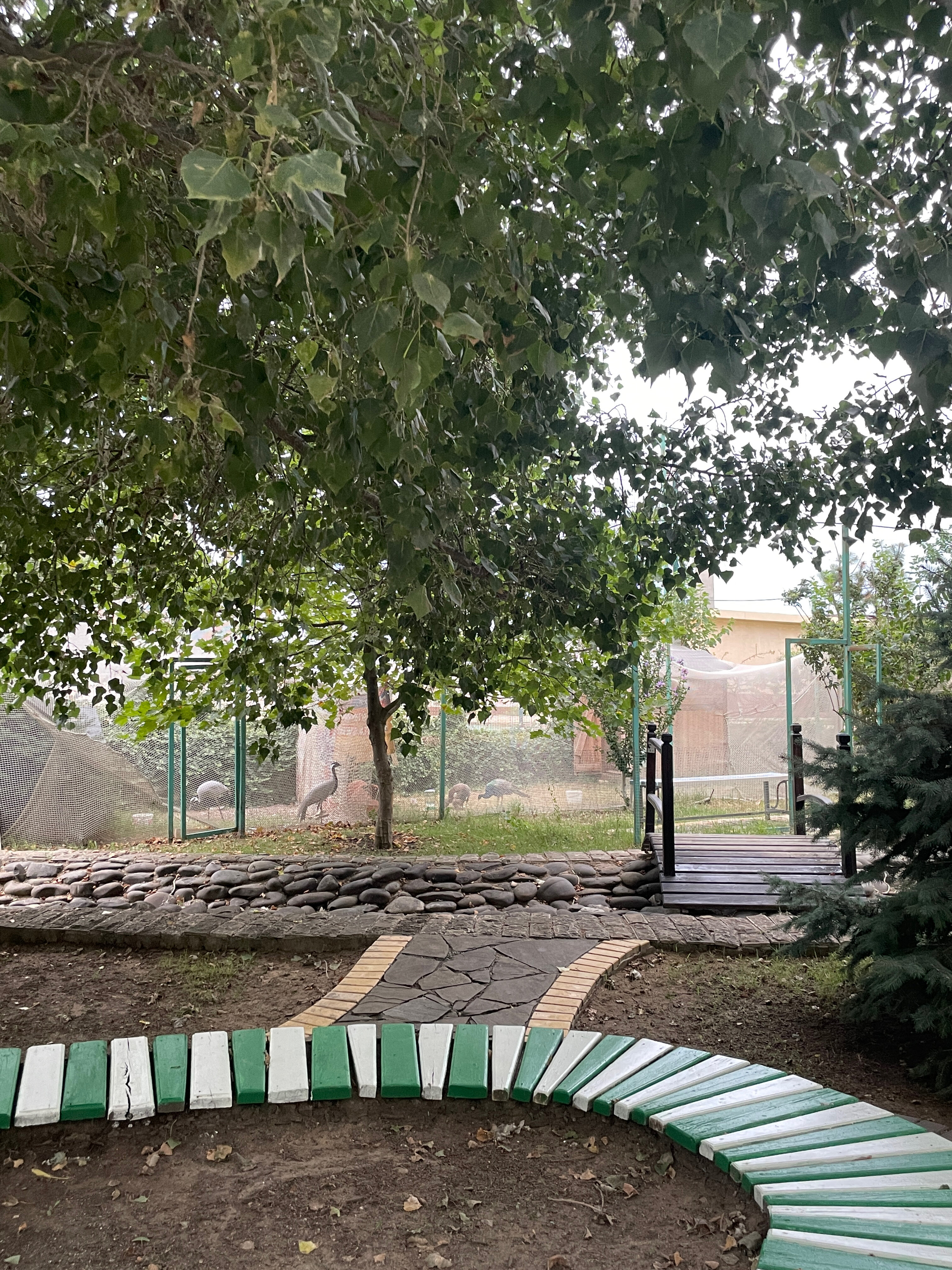 Фото Журавли