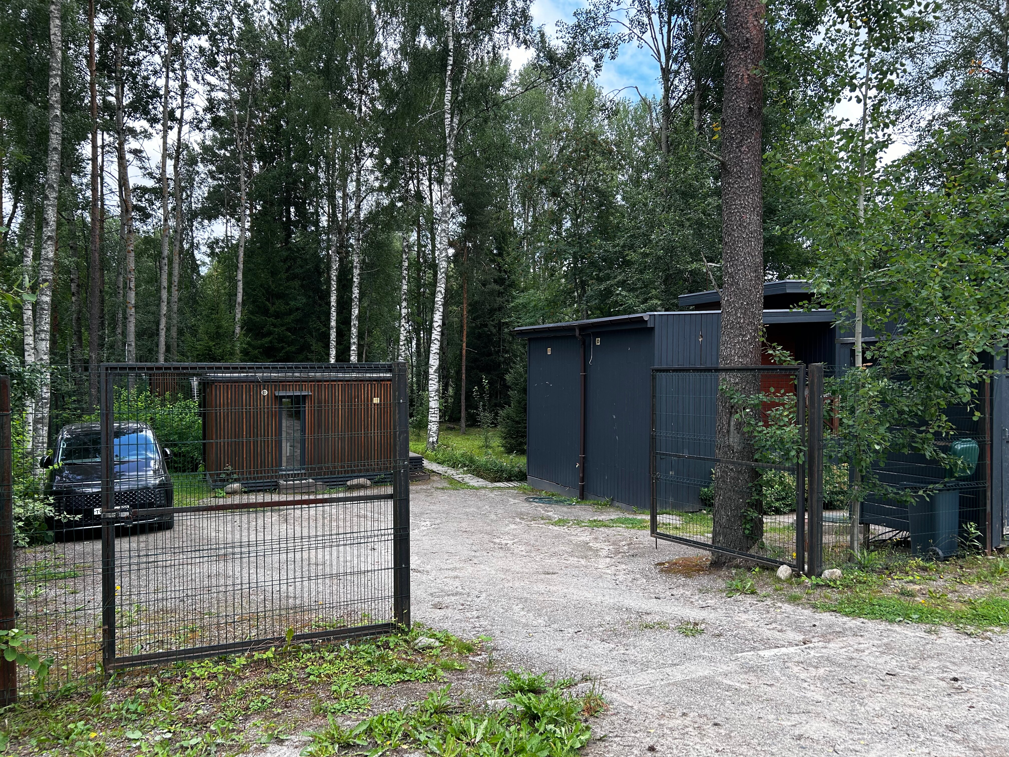 Фото Черника