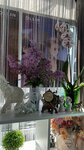 ТриО (Magazinnaya ulitsa, 11), beauty salon