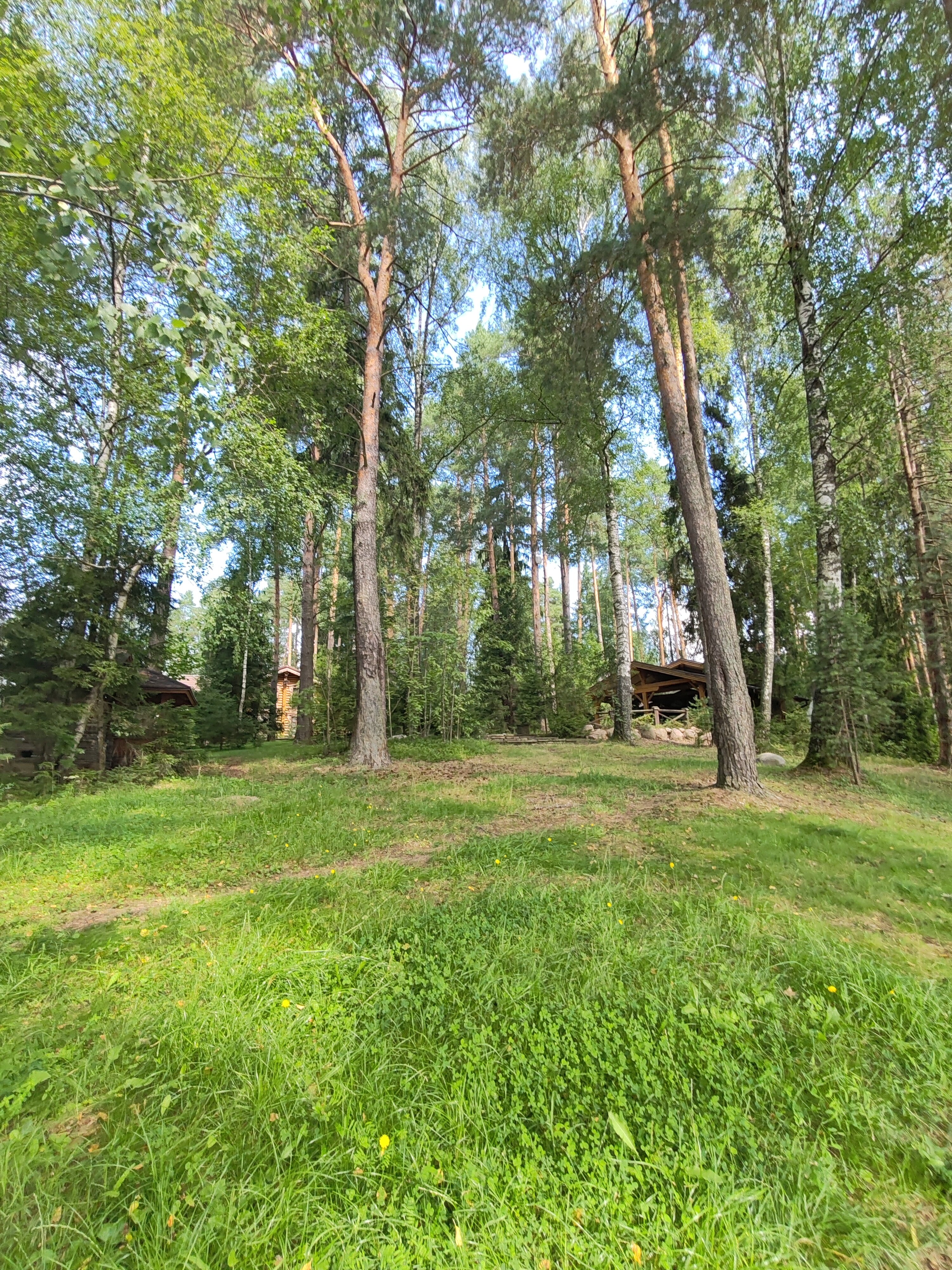 Фото ЭтноуСАДьба ЗдРАвоМыслящих