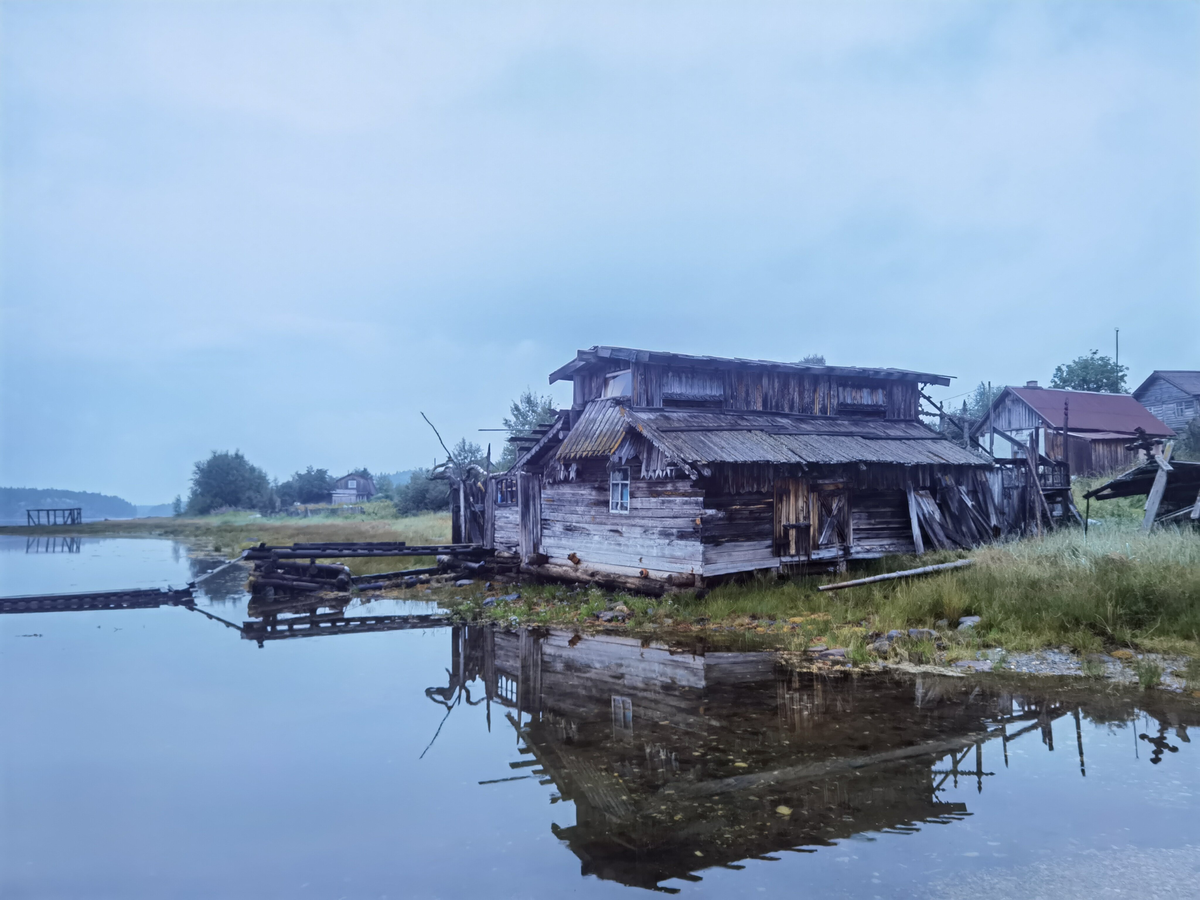 Фото Нереис