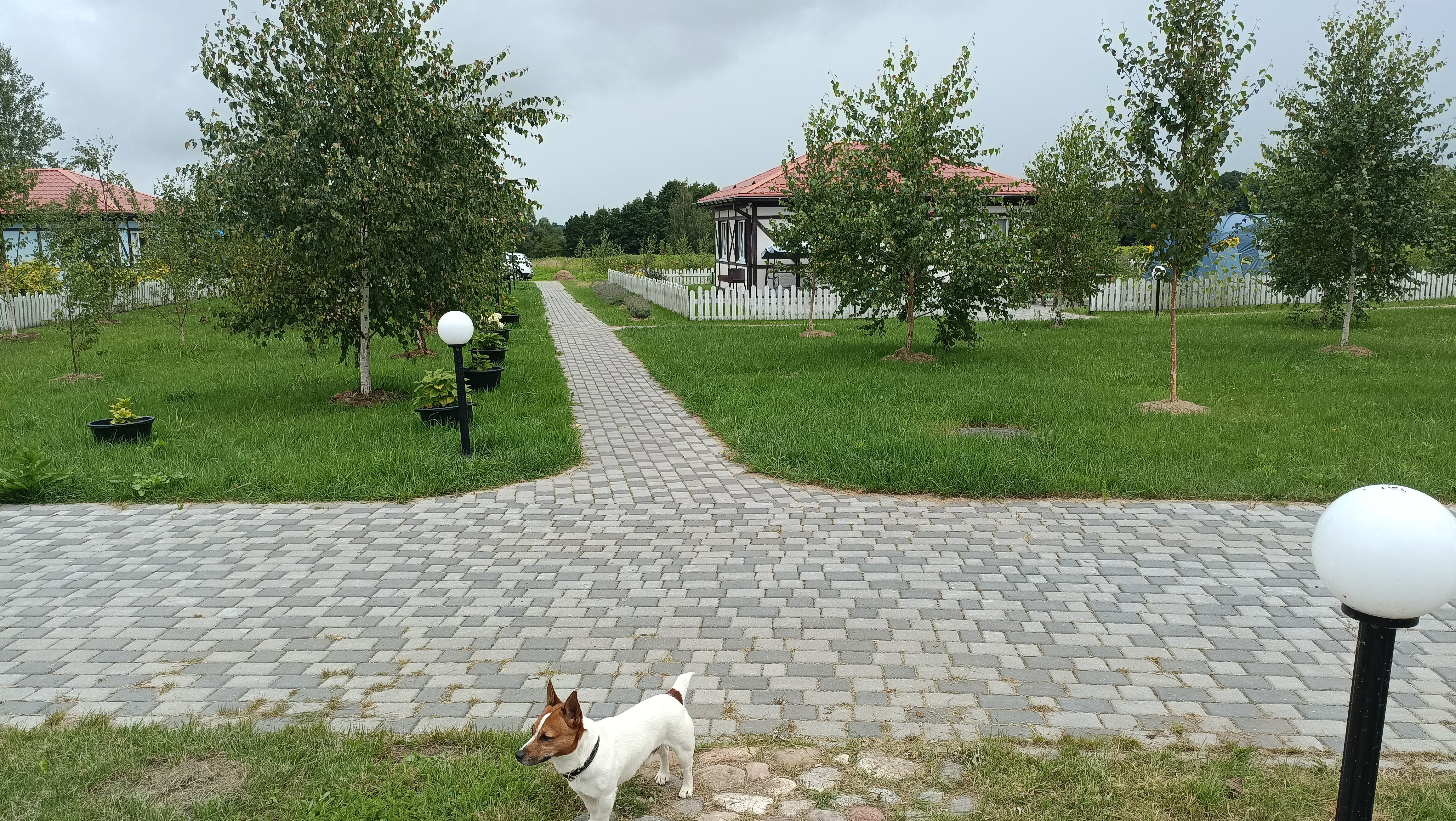 Фото Проломовка