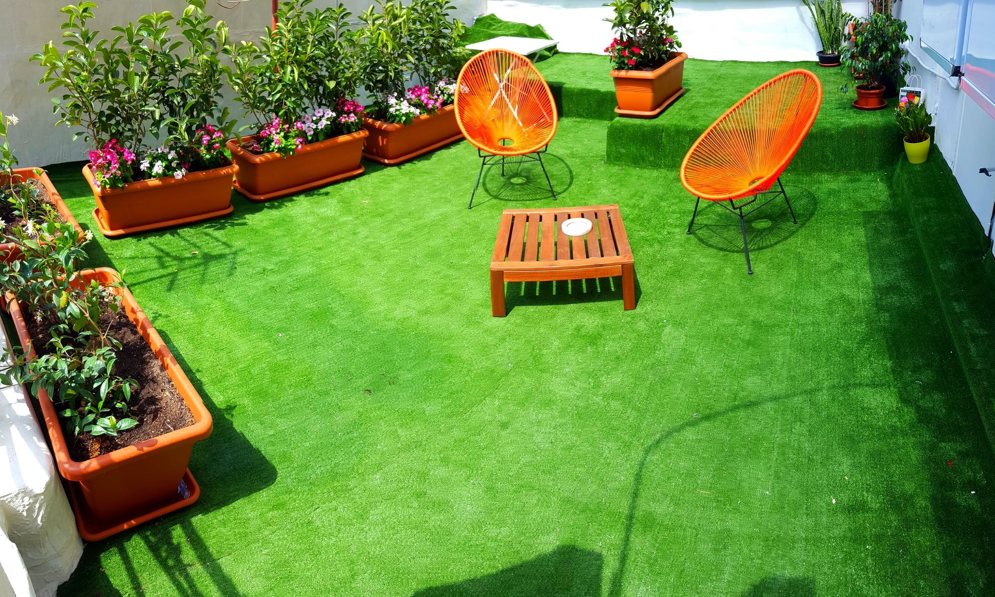 Фото Daily Napoli