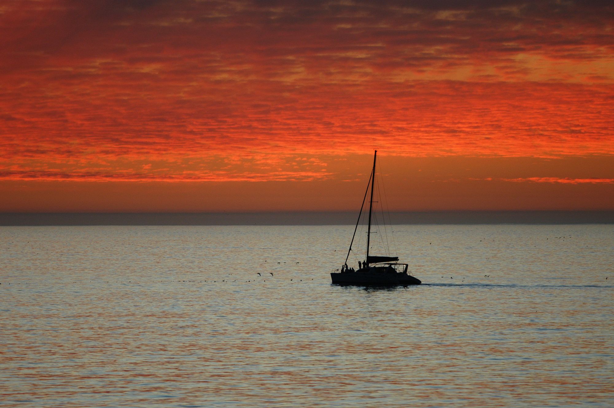 Фото Dolphin Inn Guesthouse