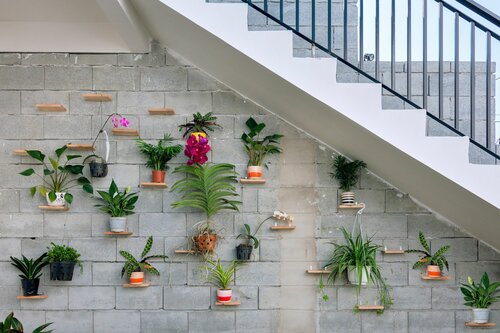 Вилла Plants Garden в Хойане