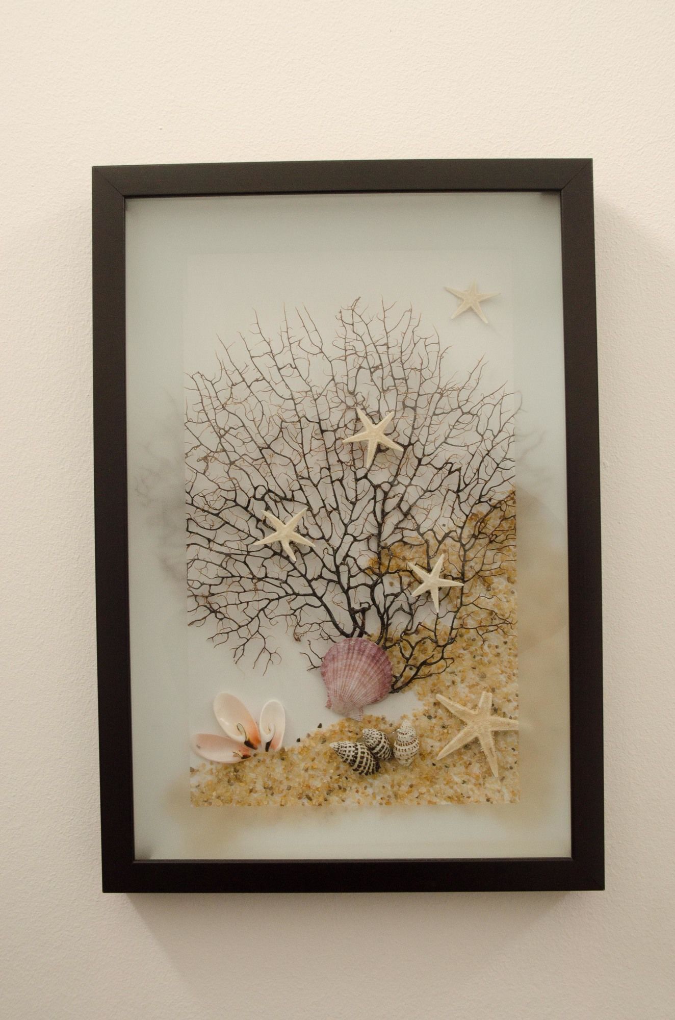 Фото Swakopmund Accommodation