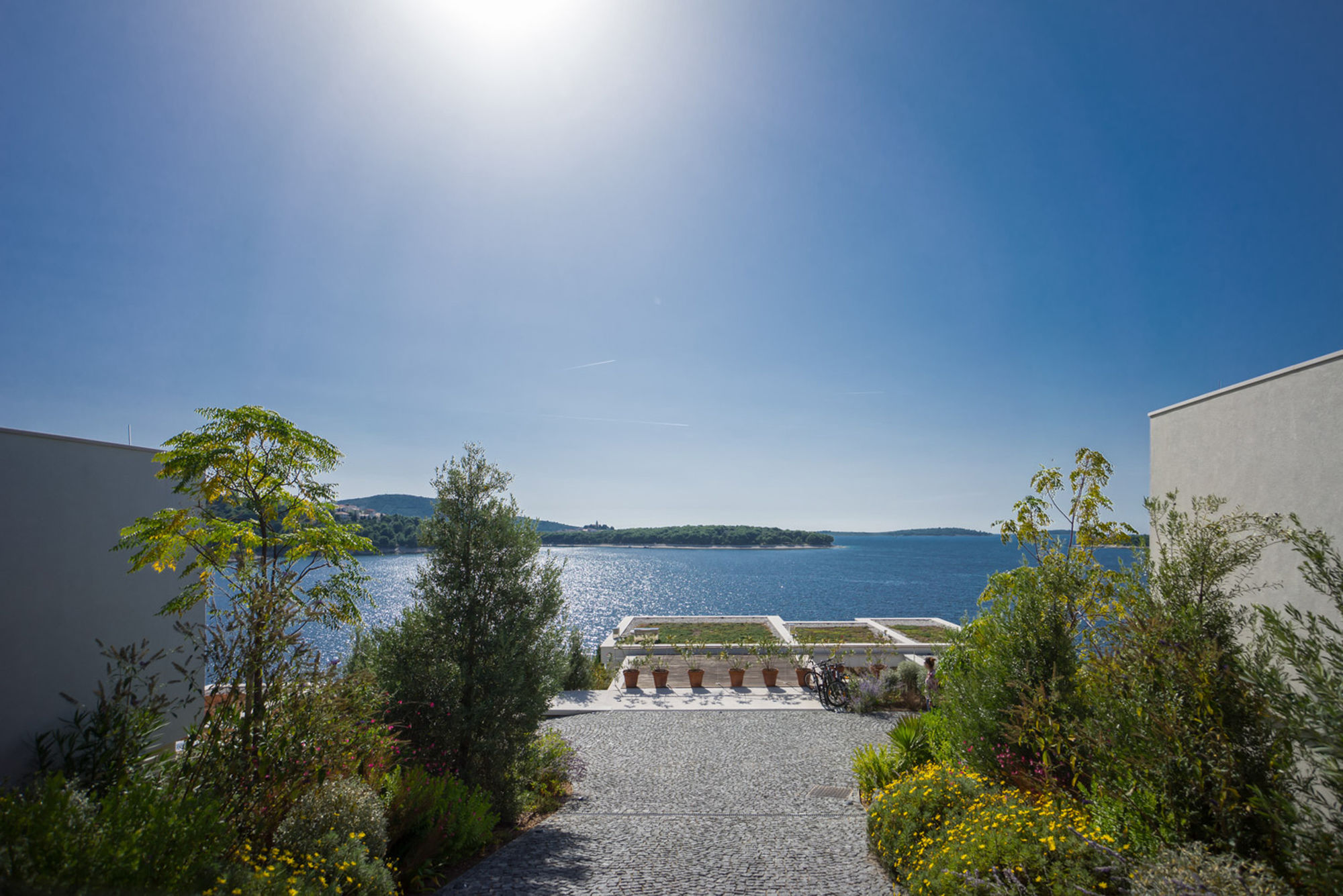 Фото Golden Rays Luxury Apartments