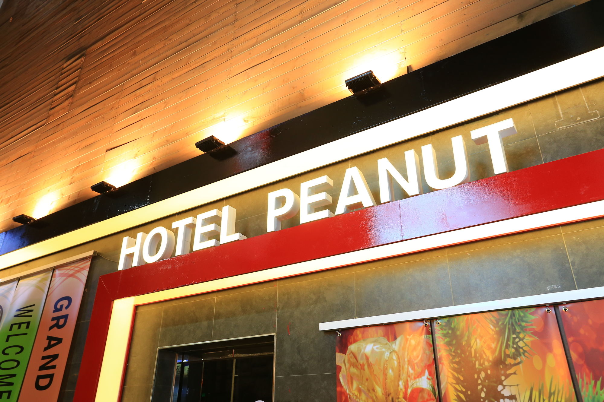 Фото Peanut Hotel