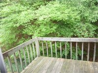 Фото Chapel Hill InnTown