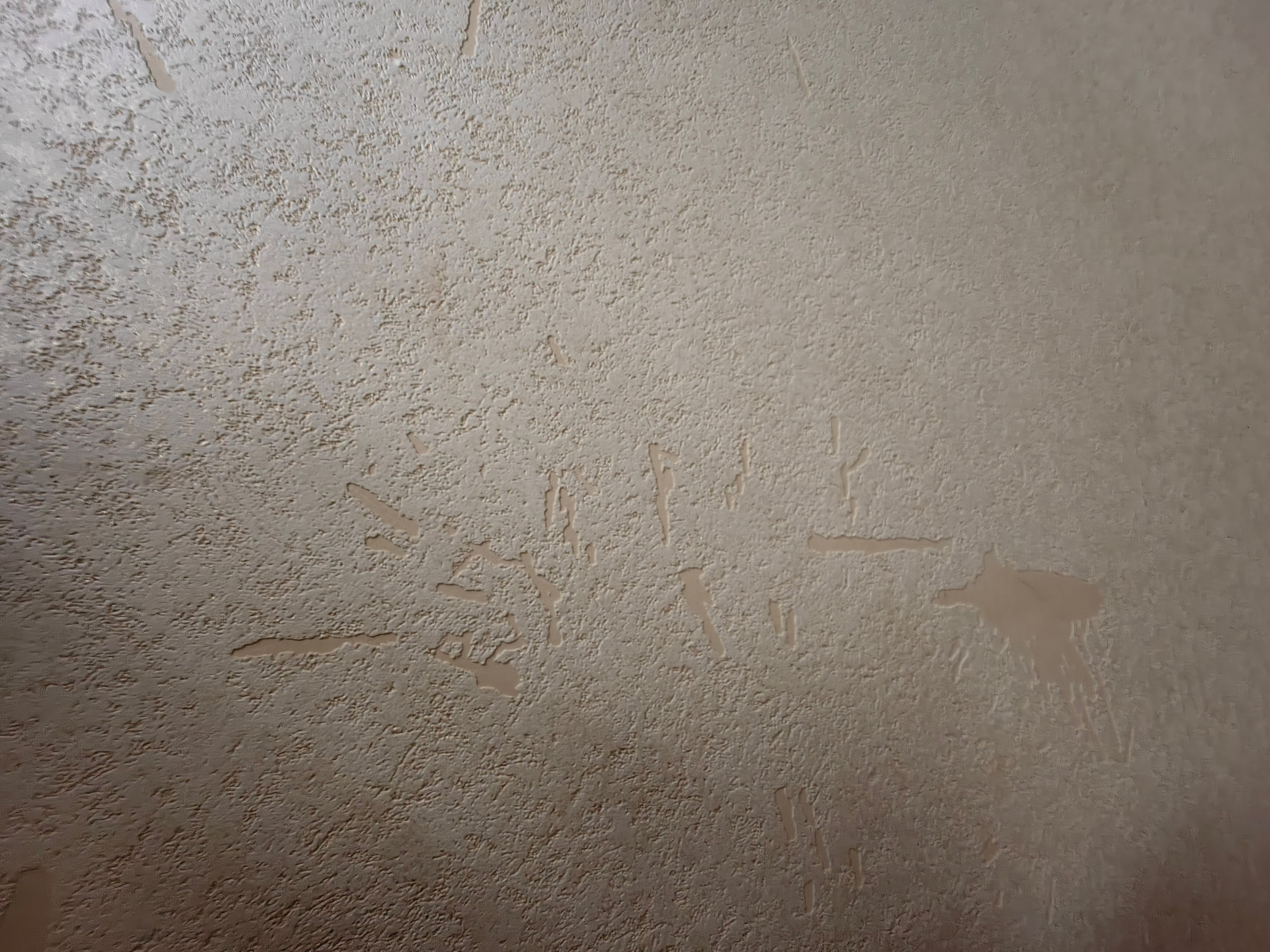 Фото Эверест