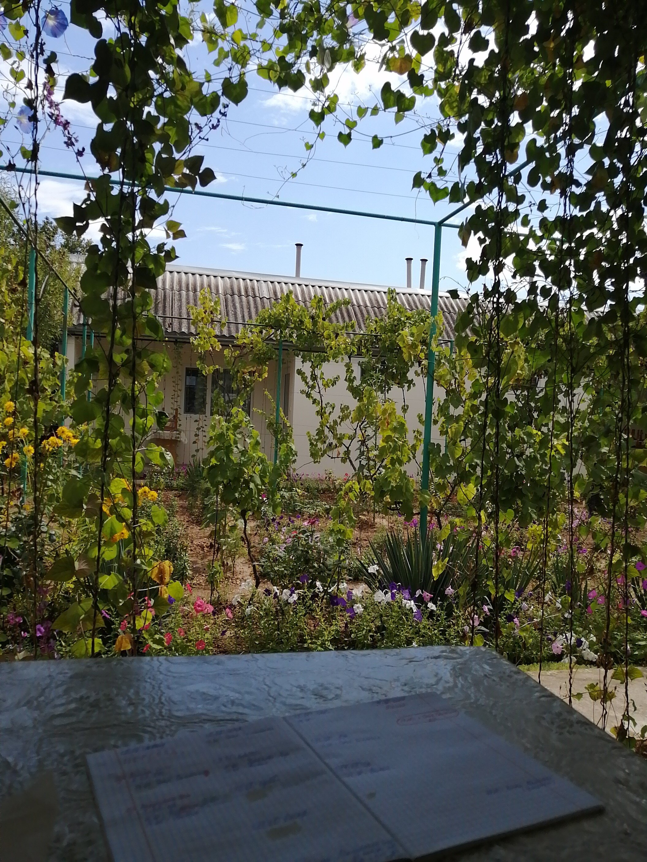 Фото Южный Берег