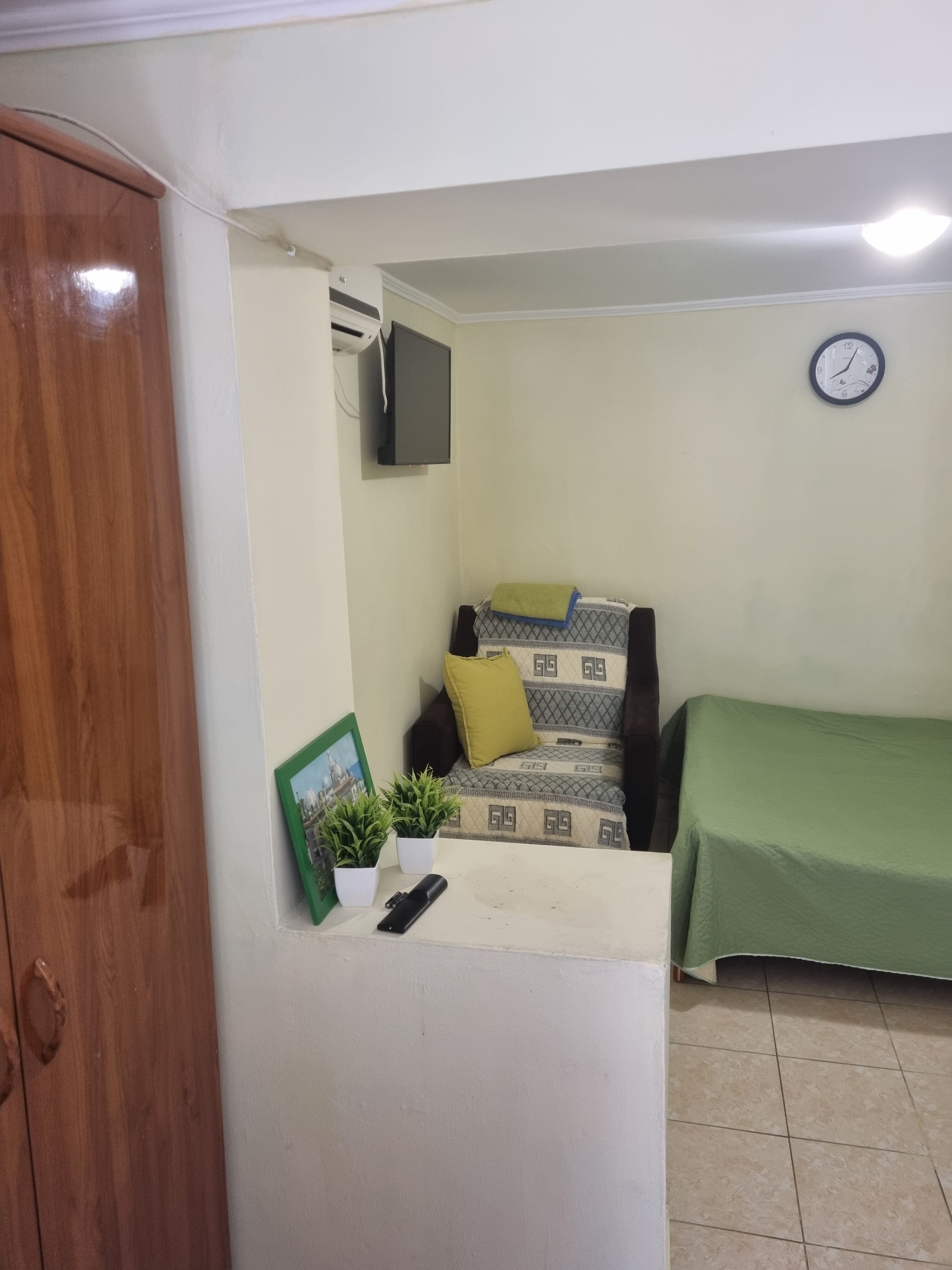 Фото Абрикос