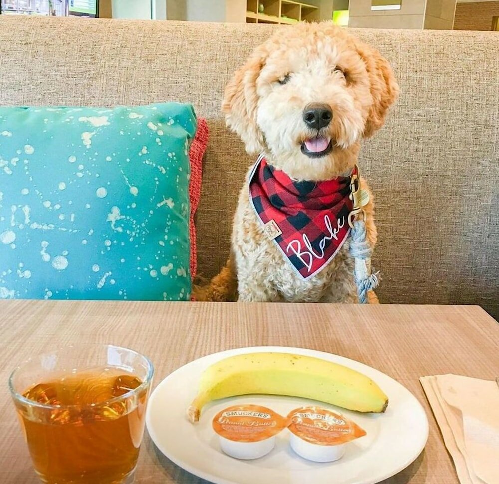 Фото Home2 Suites by Hilton Rosenberg/Sugar Land Area