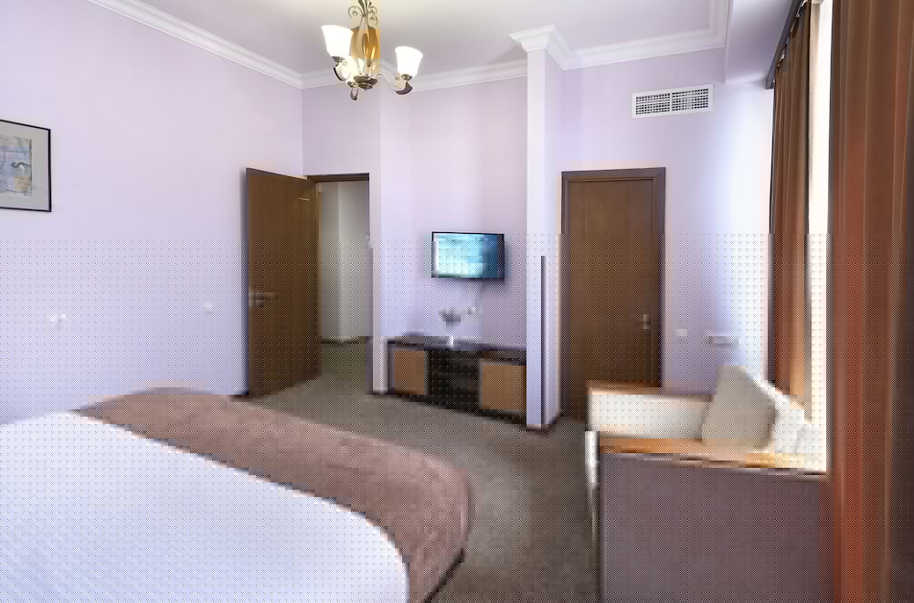 Фото Ani Central Inn