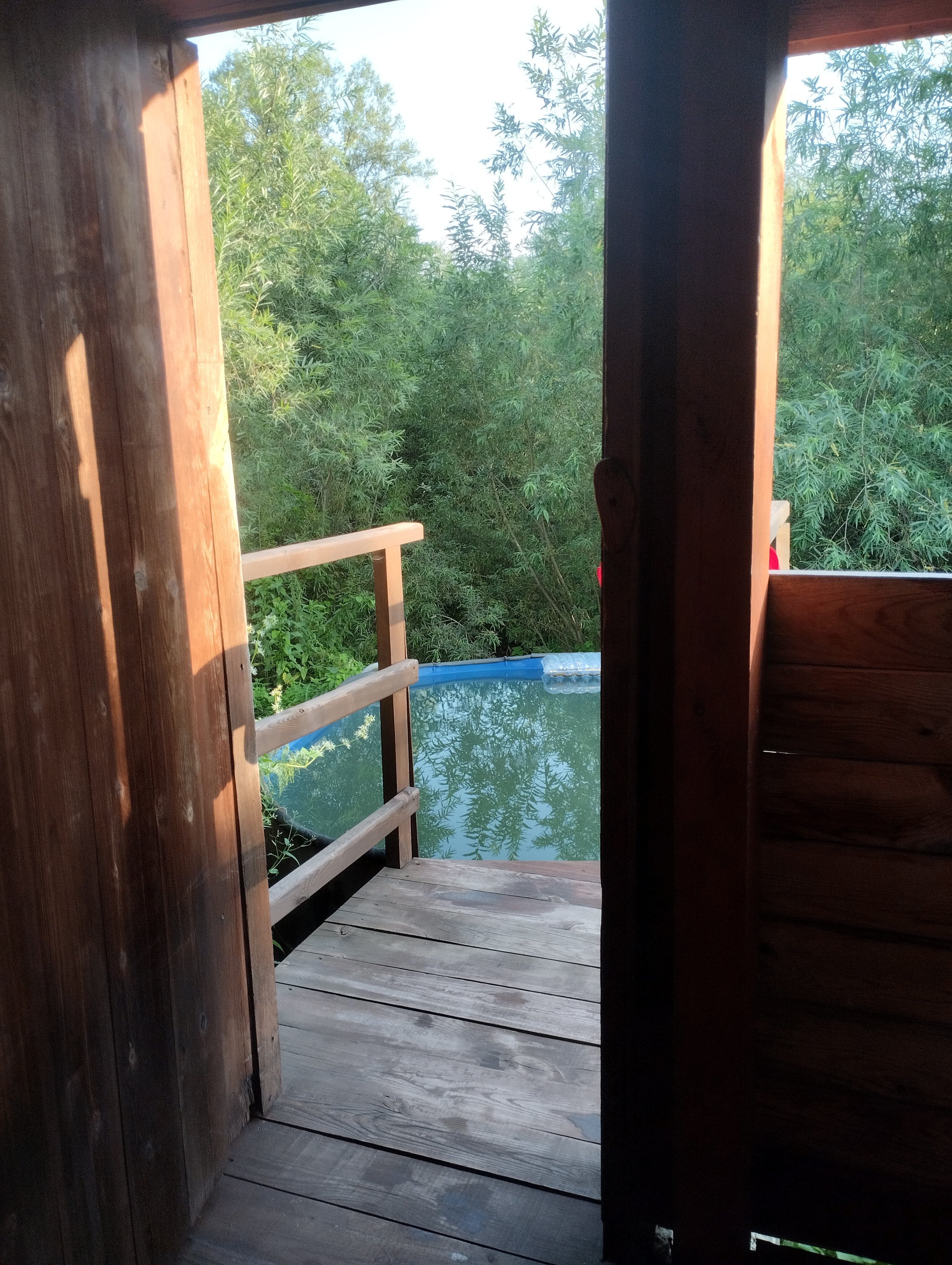 Фото Новые соседи