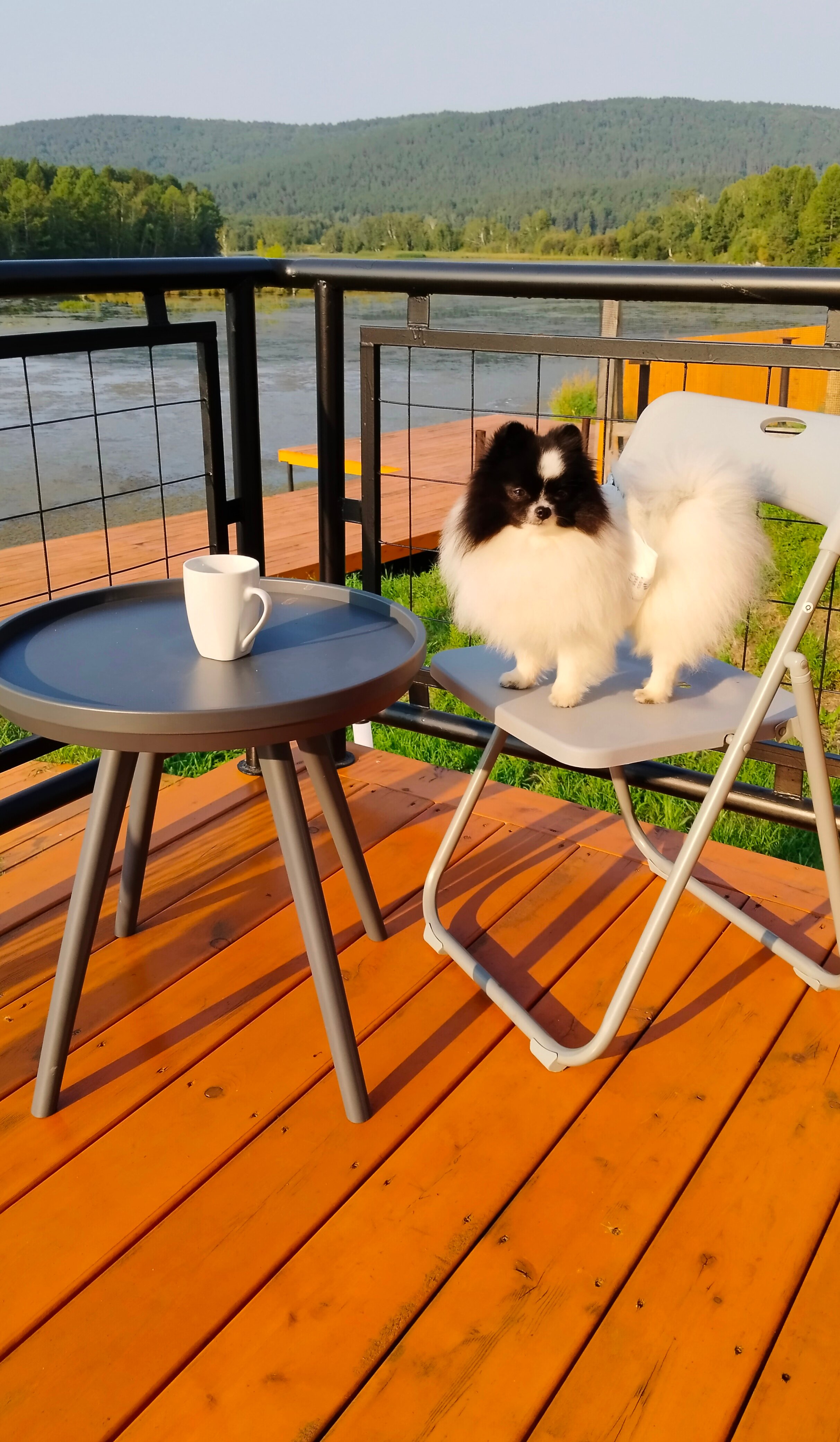 Фото Дача Баушево