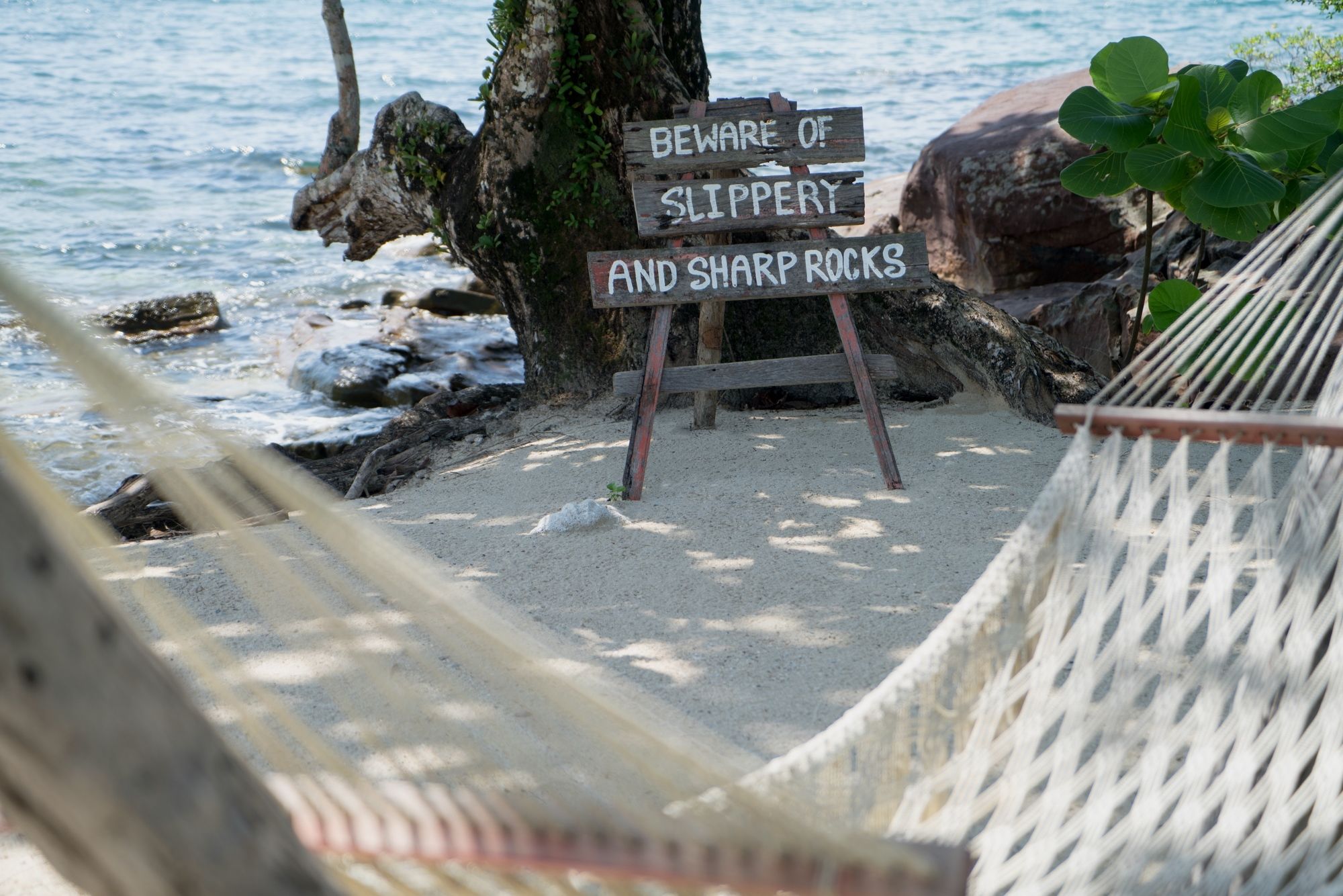 Фото Shantaa Resort