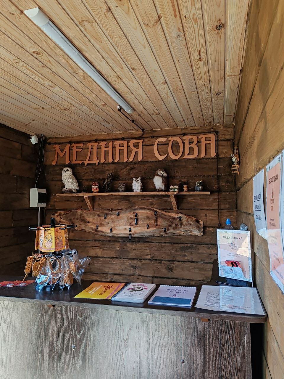 Фото Медная Сова