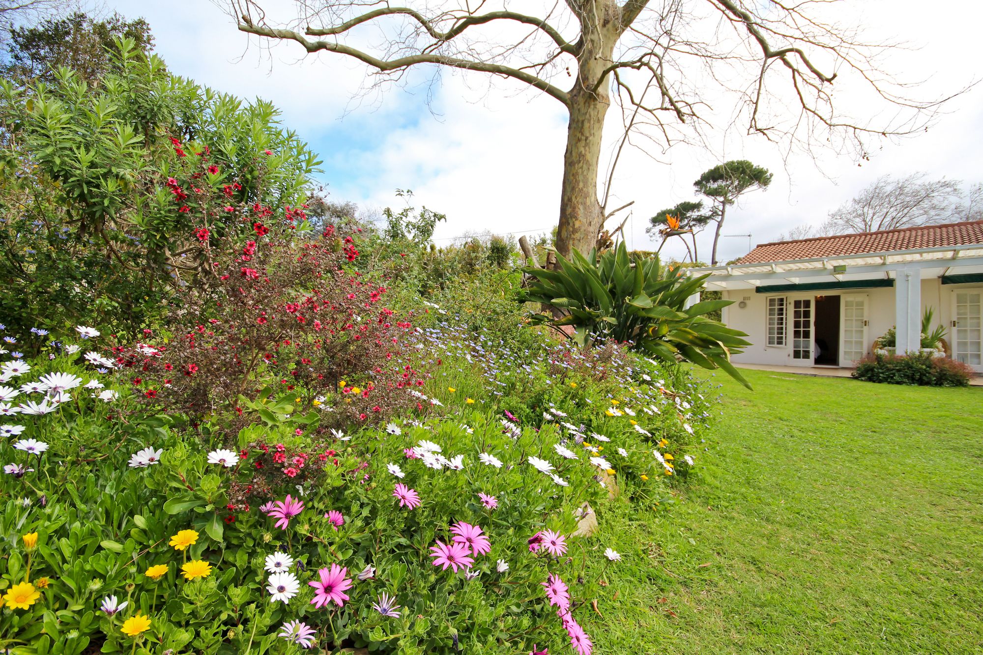 Фото Beluga of Constantia Guest House