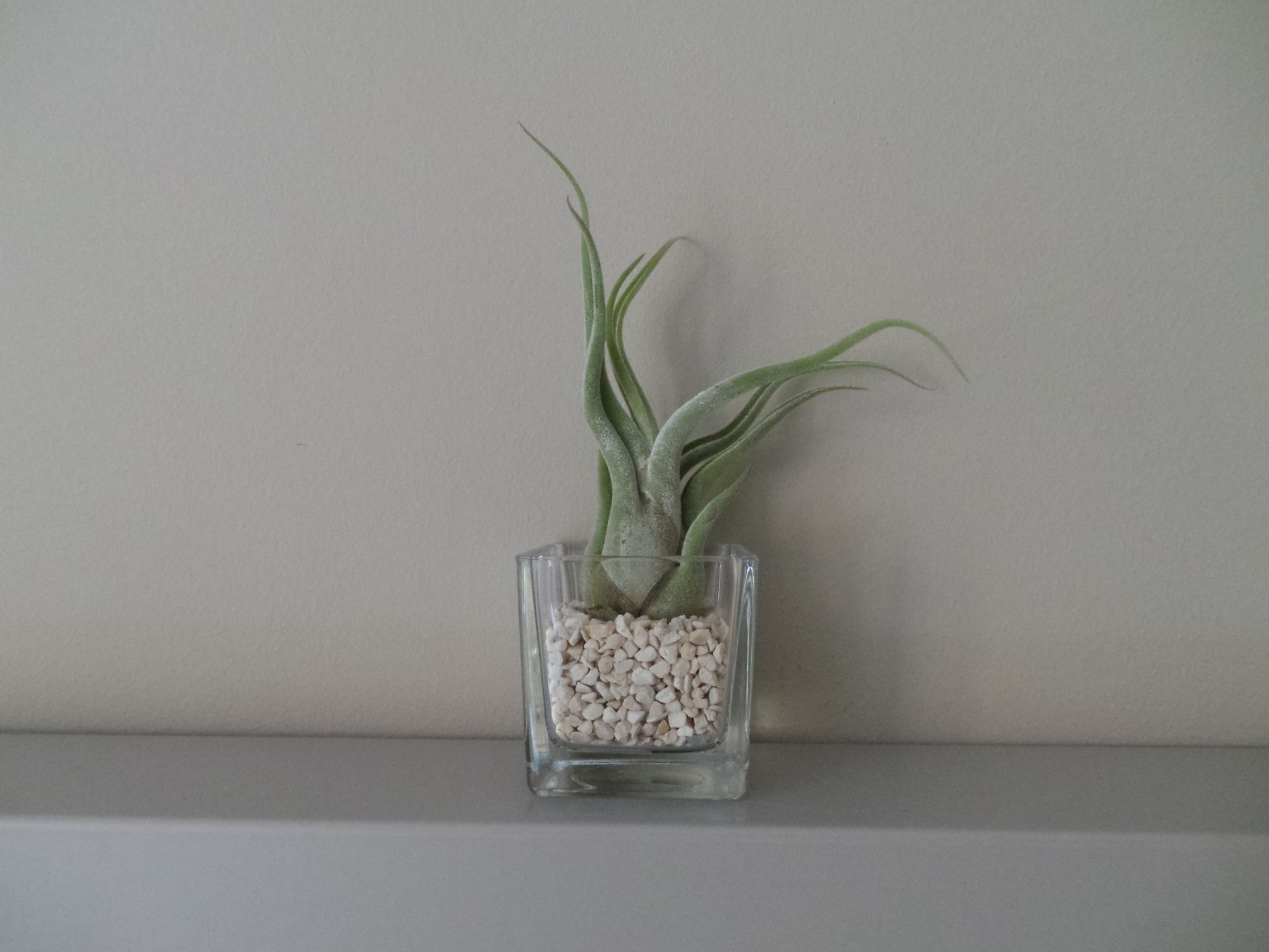 Фото Marbia Guest House