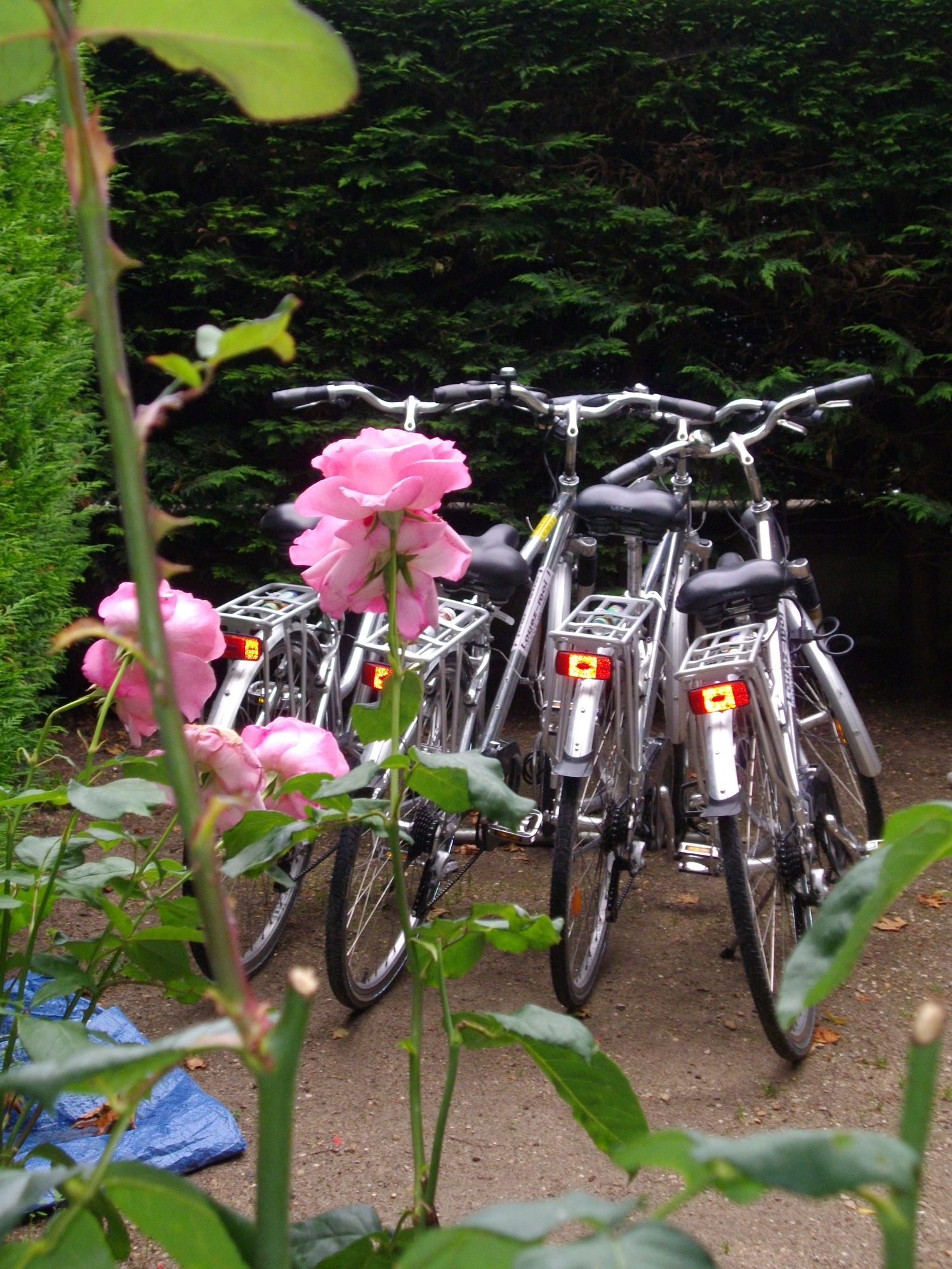 Фото Hotel Anne de Bretagne