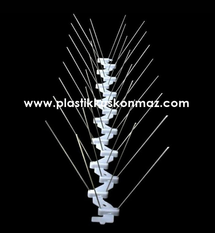 Disinfection, disinsection, deratization Pastik Asparagus Thorn, Suleymanpasa, photo