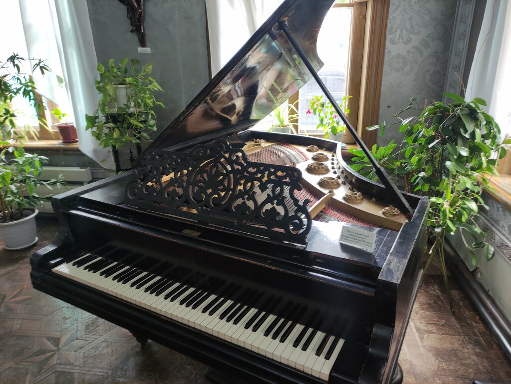 متحف Krayevedchesky muzey Dom kuptsa Dyakova, filial ، ، صورة