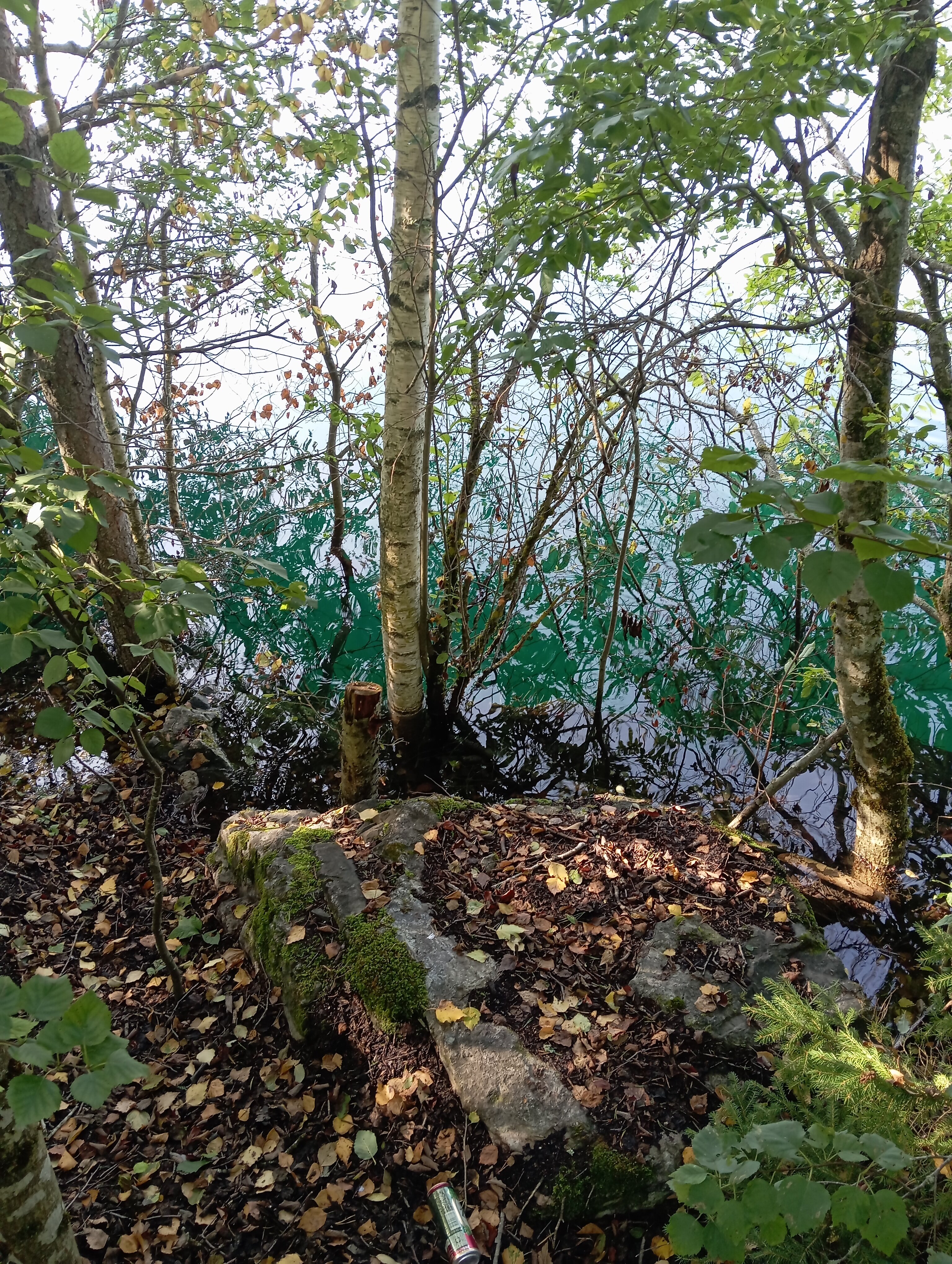 Фото Усадьба Гирвас