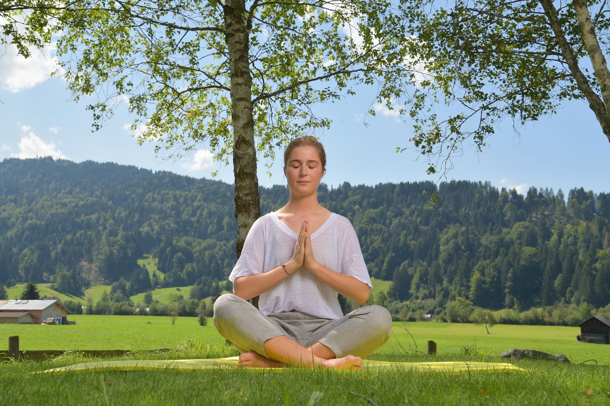 Фото Best Western Plus Hotel Alpenhof