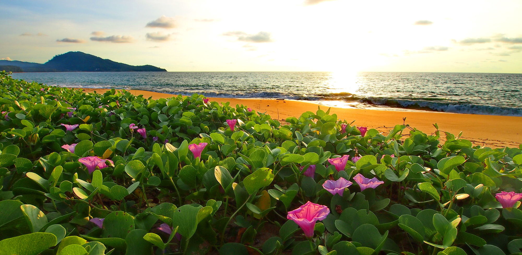 Фото Ideo Phuket Hotel