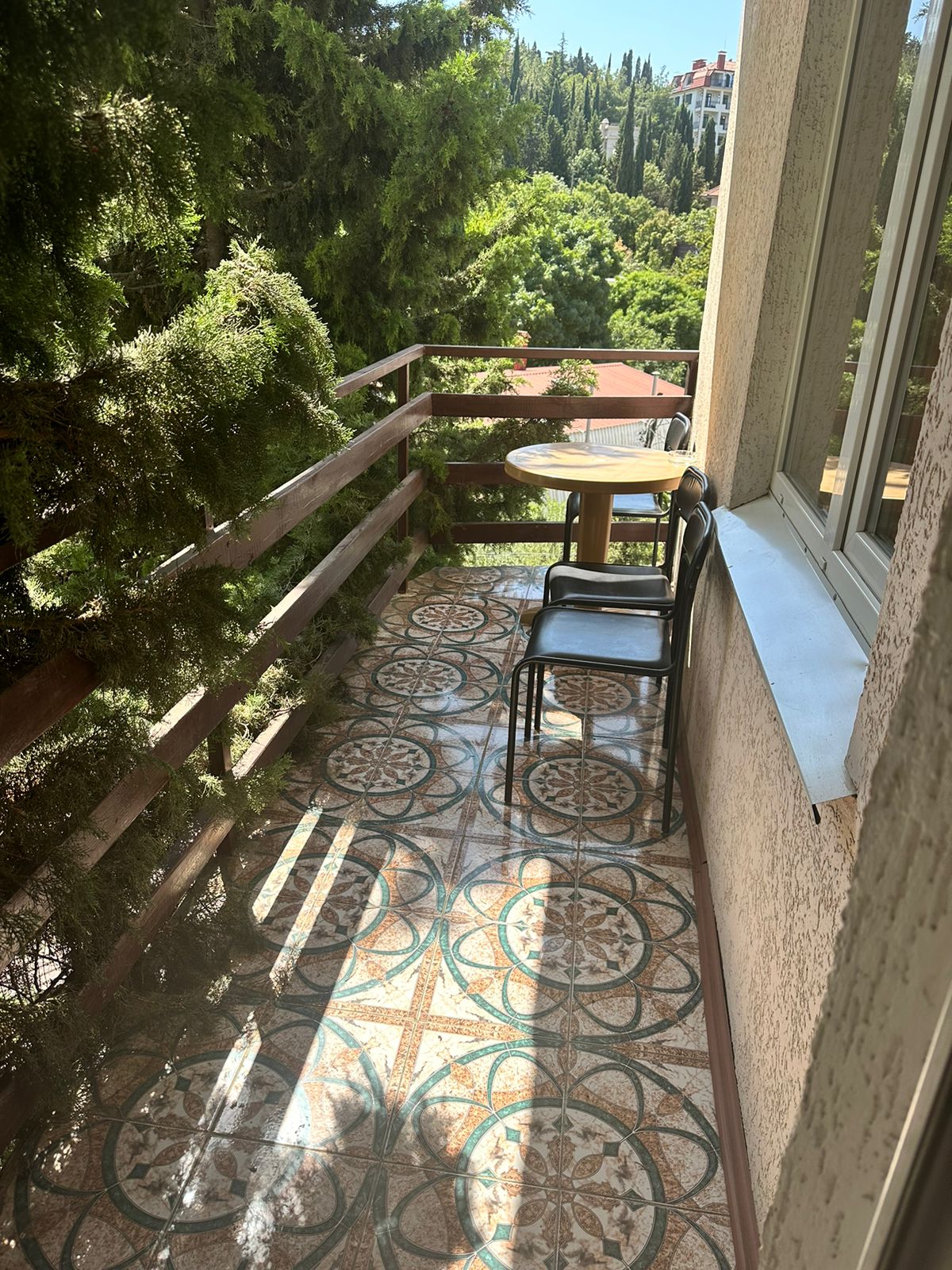 Фото Цитрус