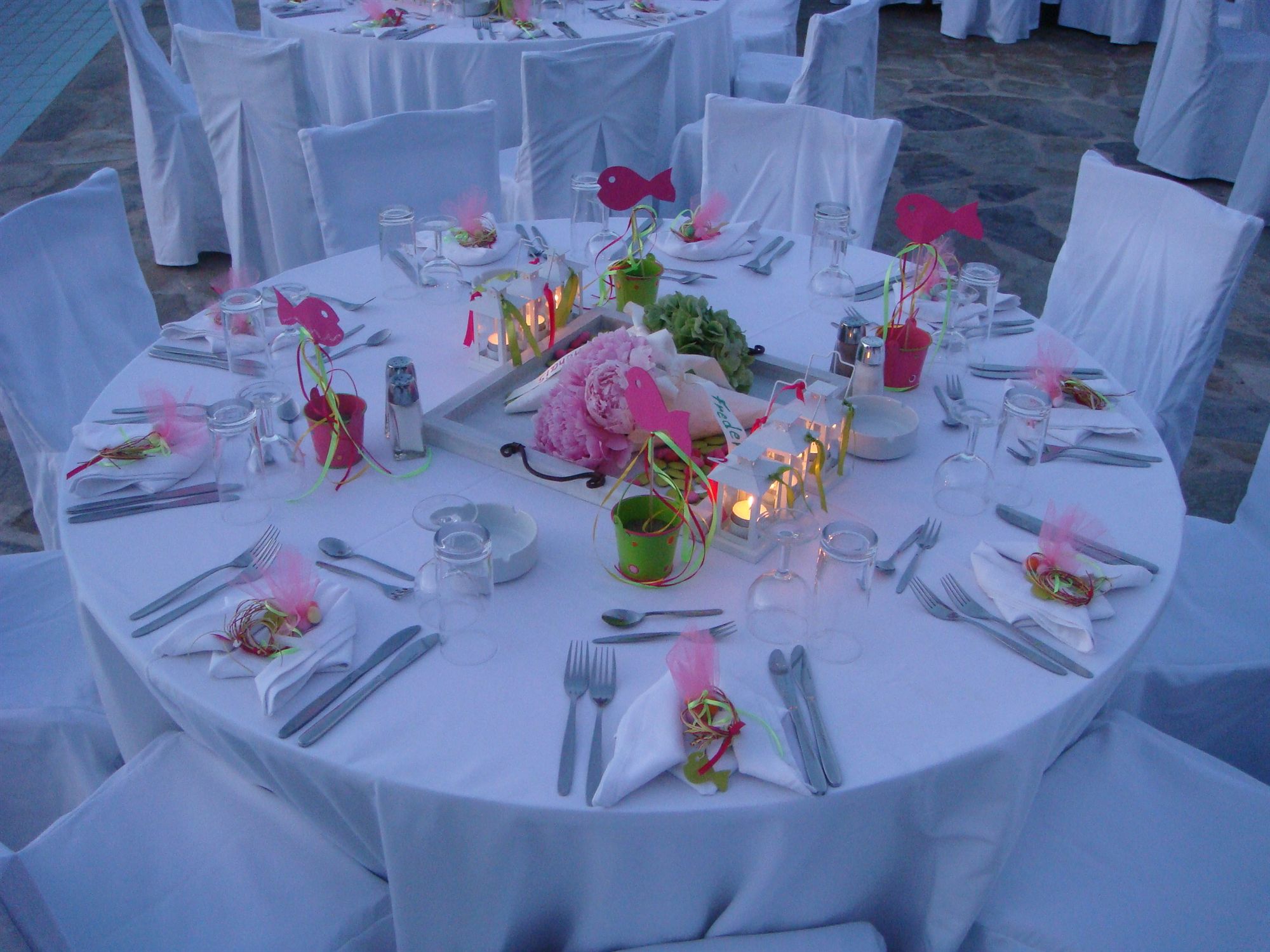 Фото Dolphin Bay Hotel