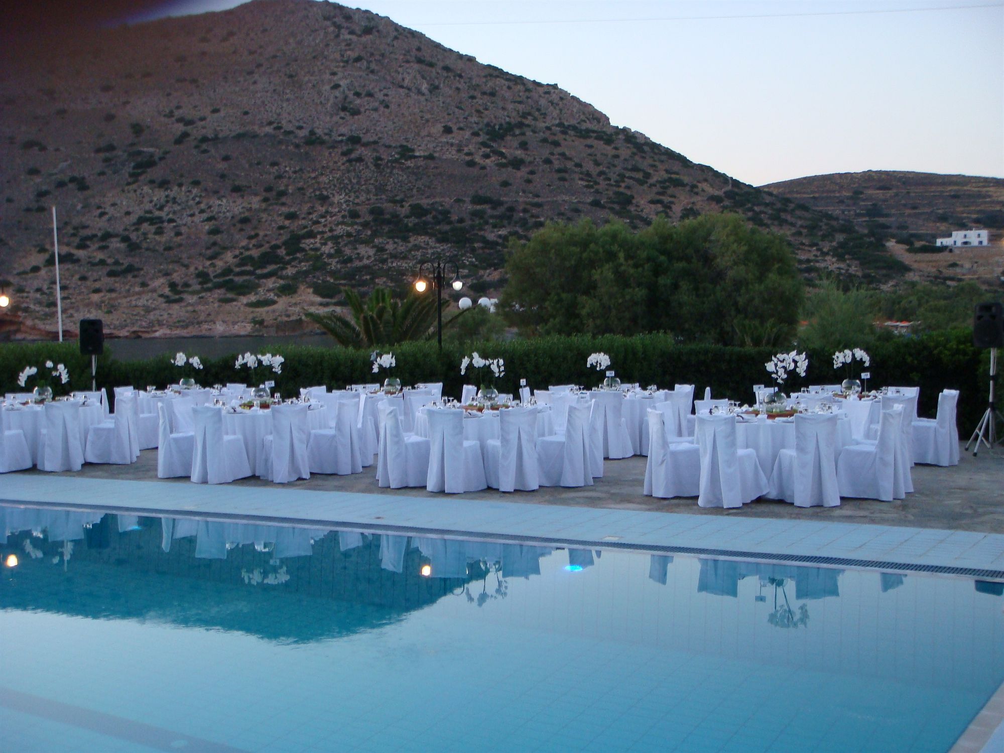 Фото Dolphin Bay Hotel