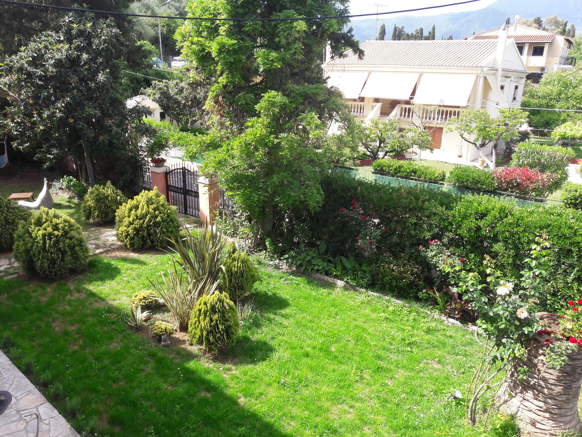 Фото Kaloudis Apartments & Studios