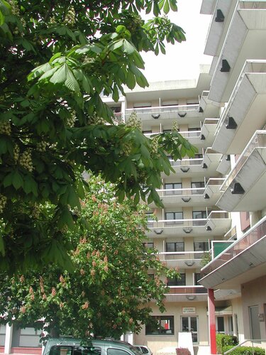 Гостиница Les Palatines в Монбризоне