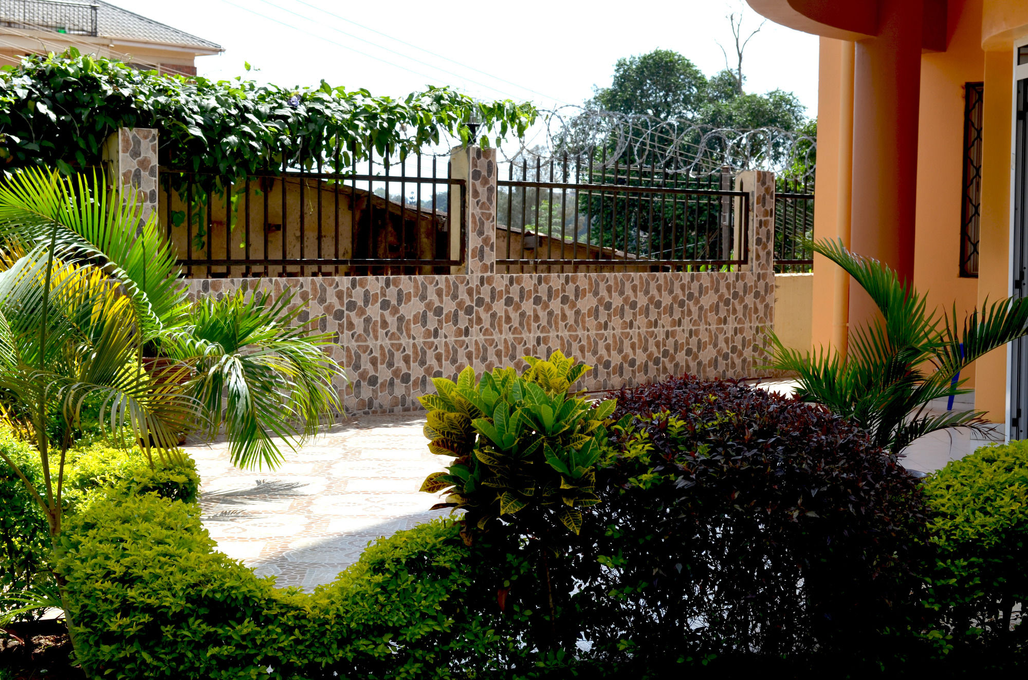 Фото Hotel Top Five