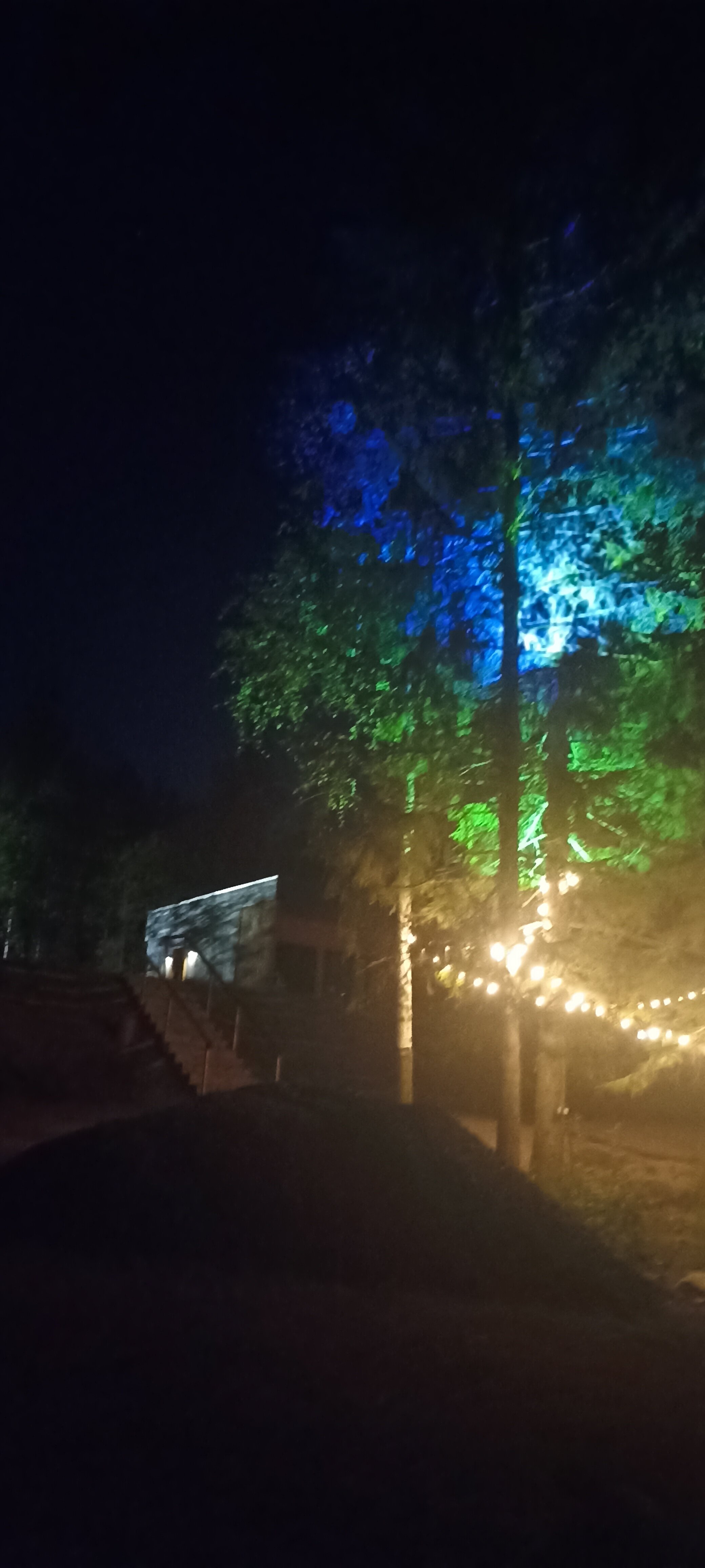 Фото Scandi Village