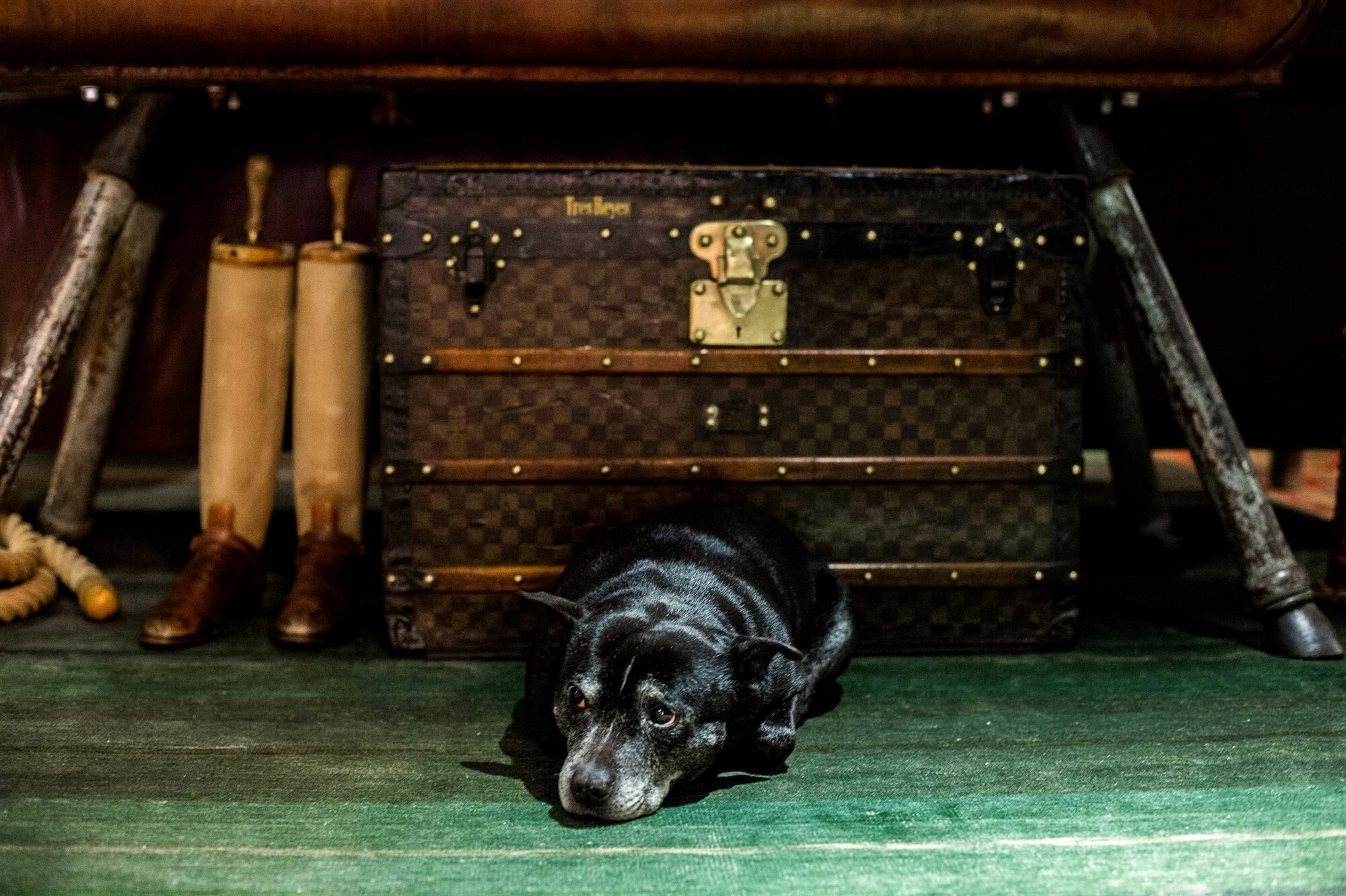 Фото Aethos Milan