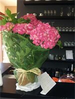 Фото Aida Charming Rooms