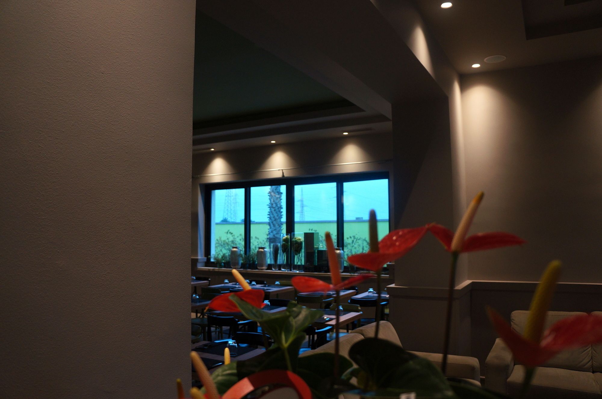 Фото Hotel Aloisi