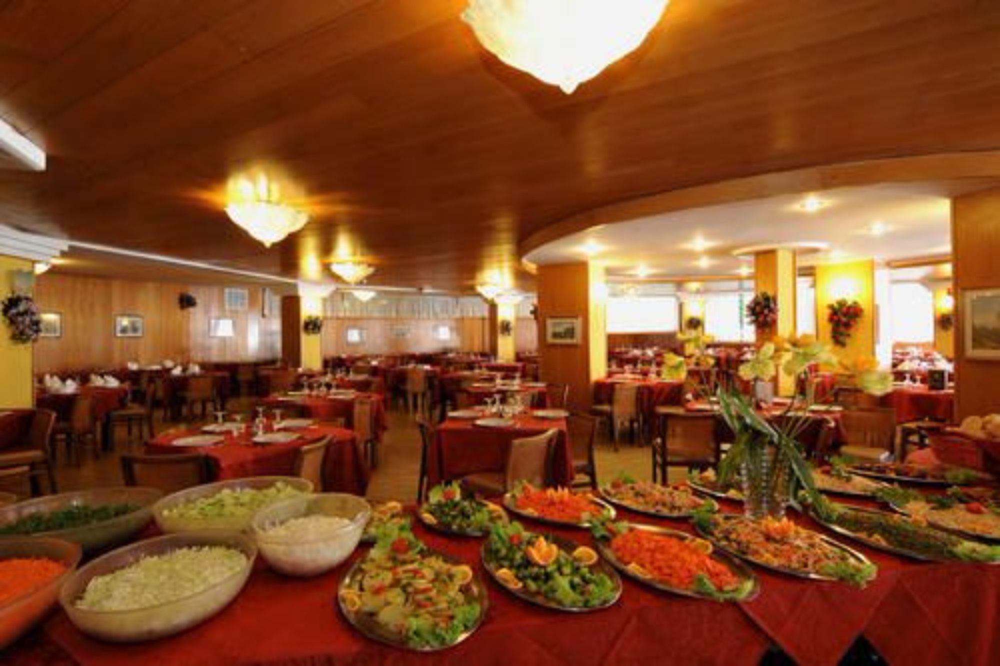 Фото Hotel Palme & Suite