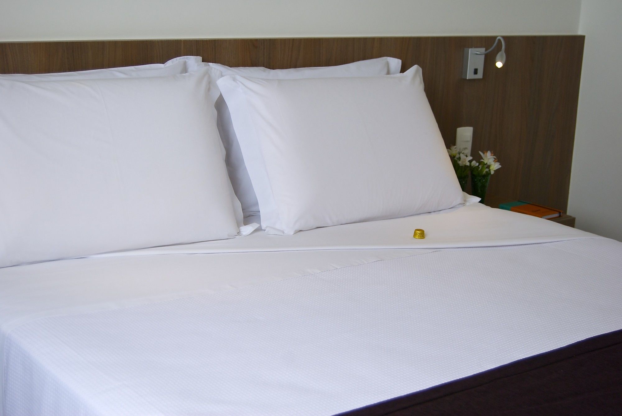 Фото Nobile Hotel Belo Horizonte