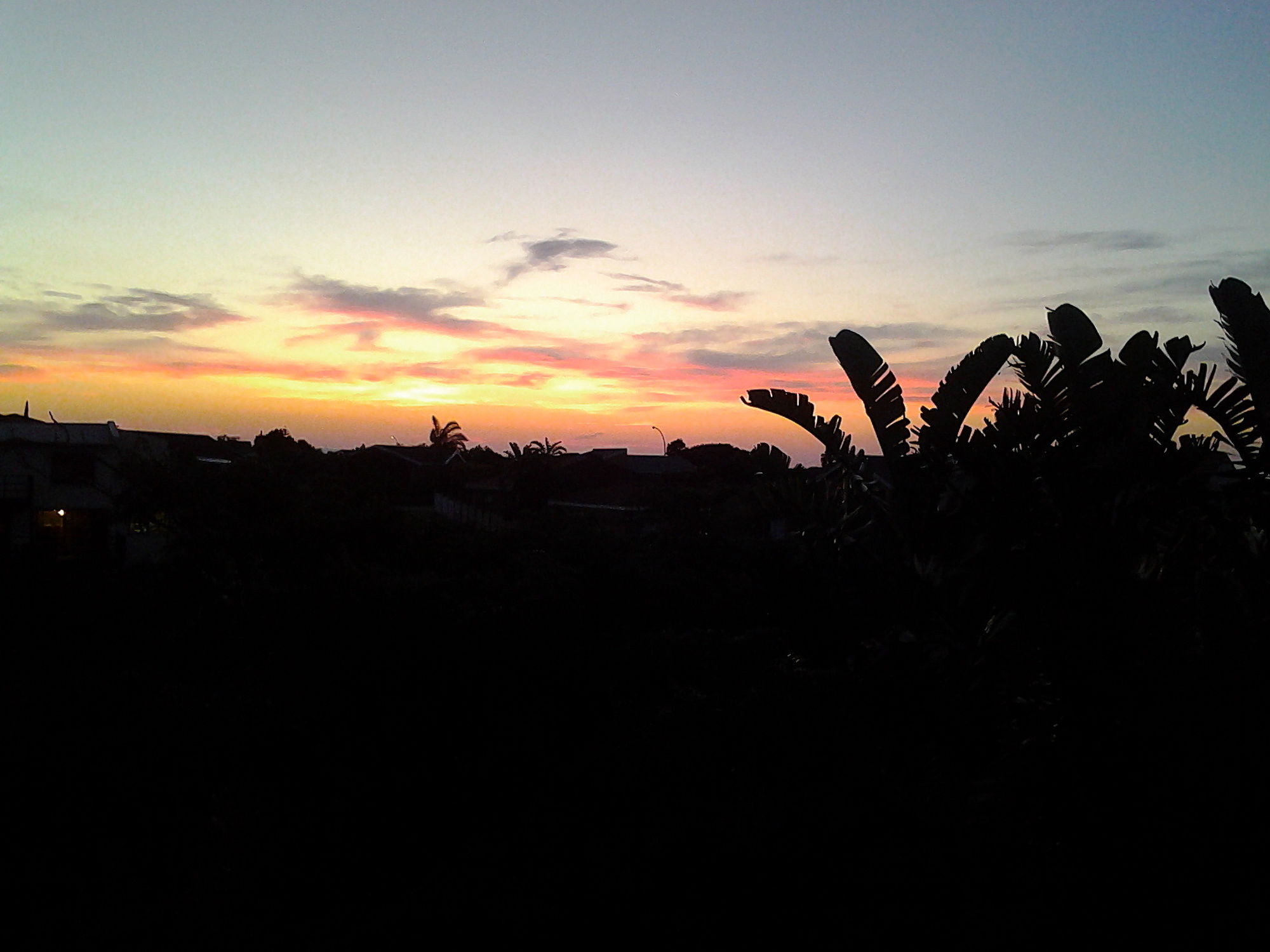 Фото Dolphin View Guesthouse