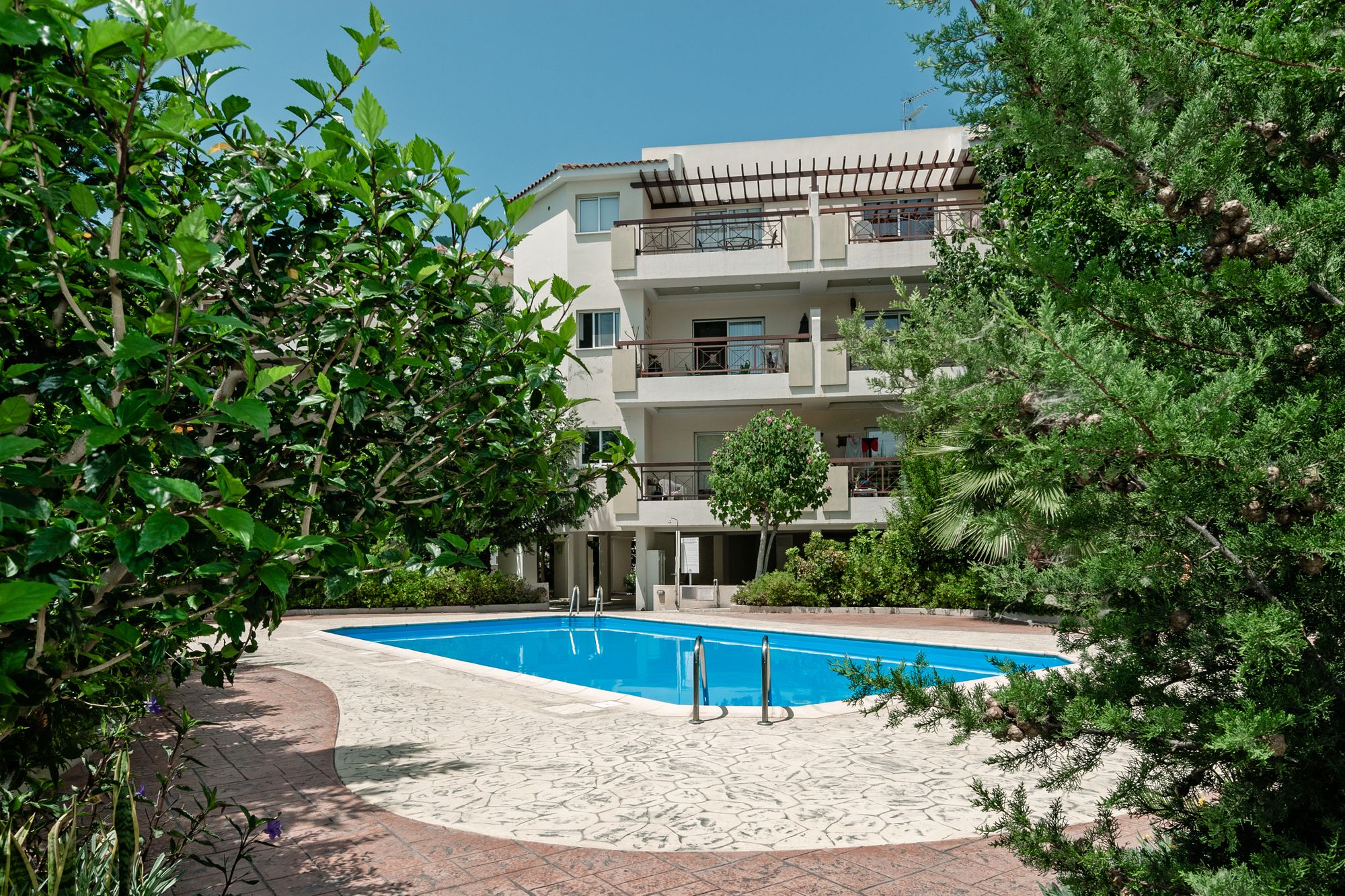 Фото Artemis Cynthia Complex